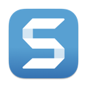 SnagIt Icon