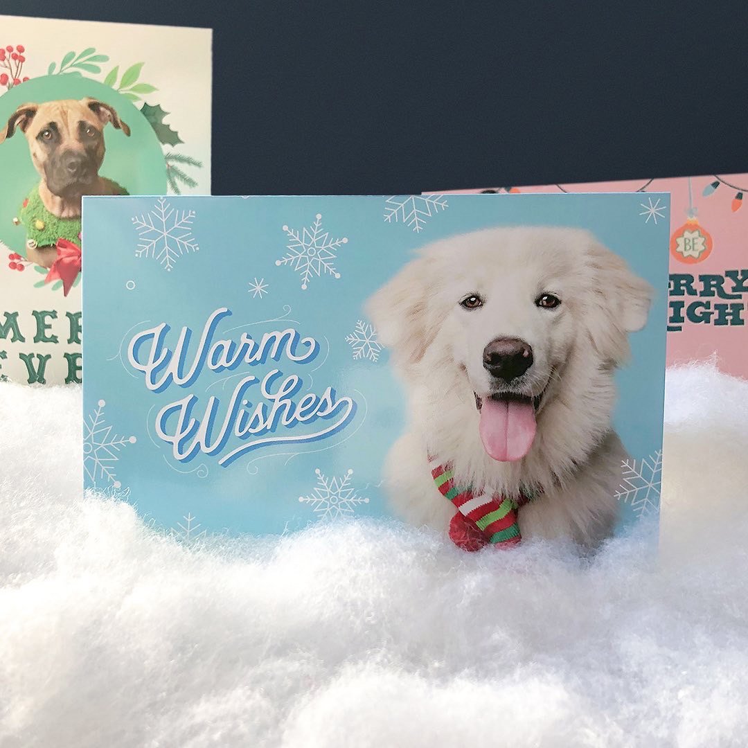 Holiday Donation Card