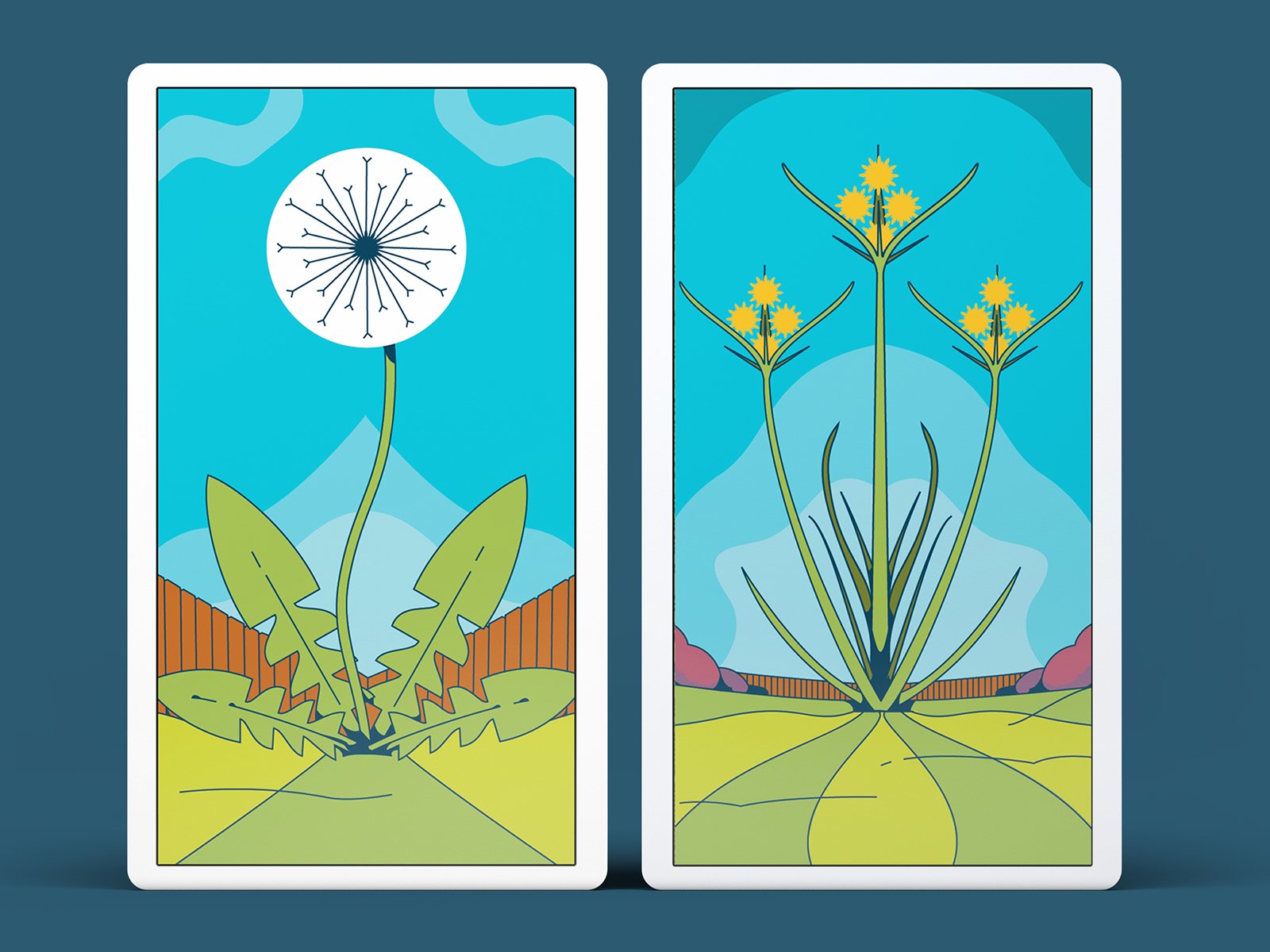 Tarot Dribbble_Celsius.jpg