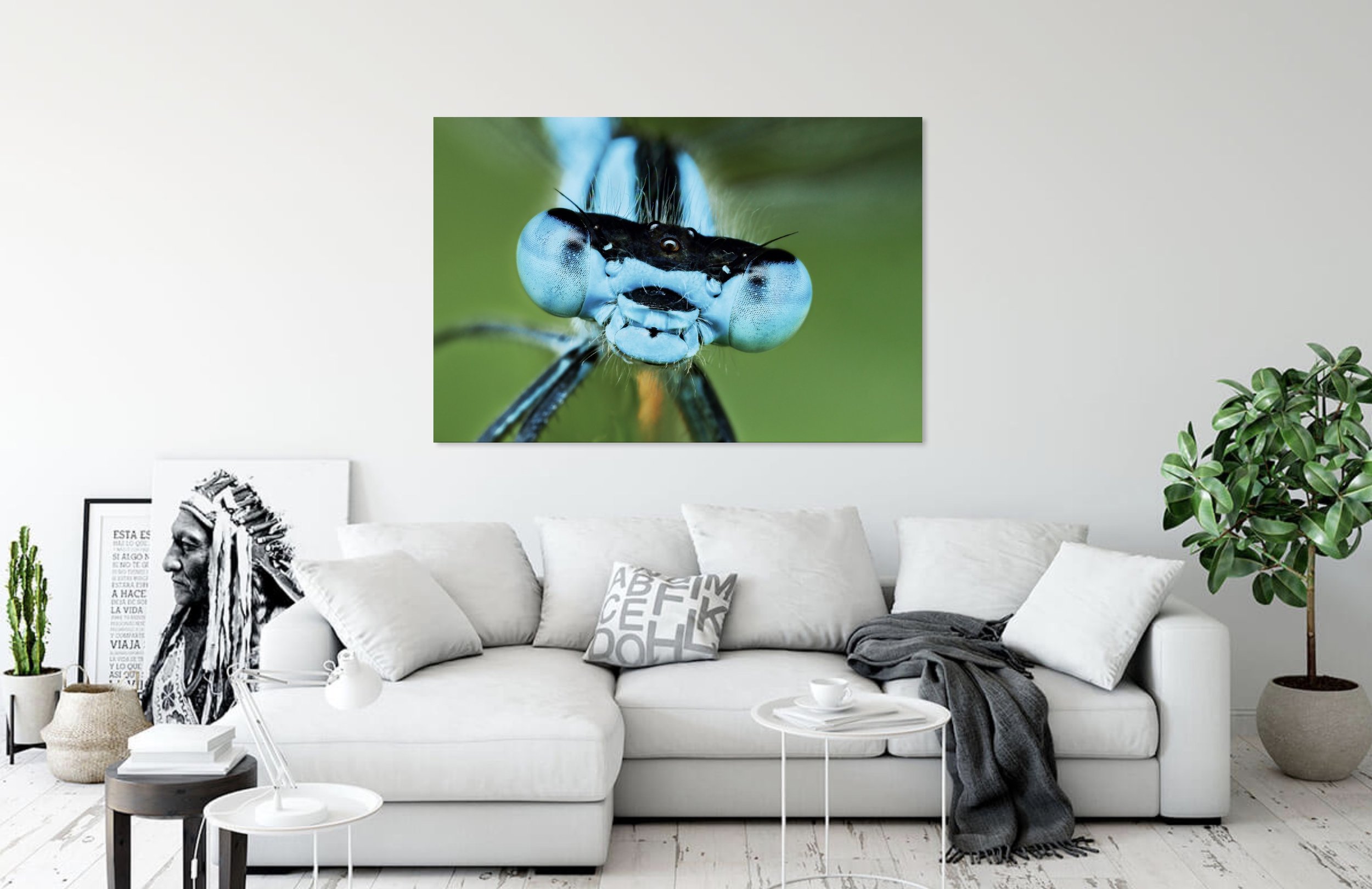 Damselfly 2.jpg