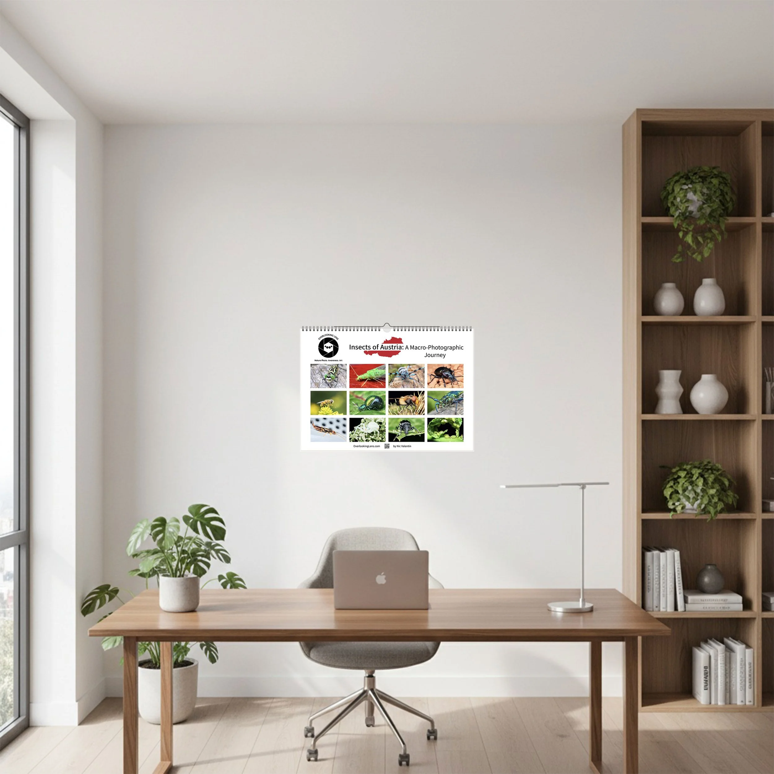 Insects-of-Austria---In-Home-Office-1a.jpg