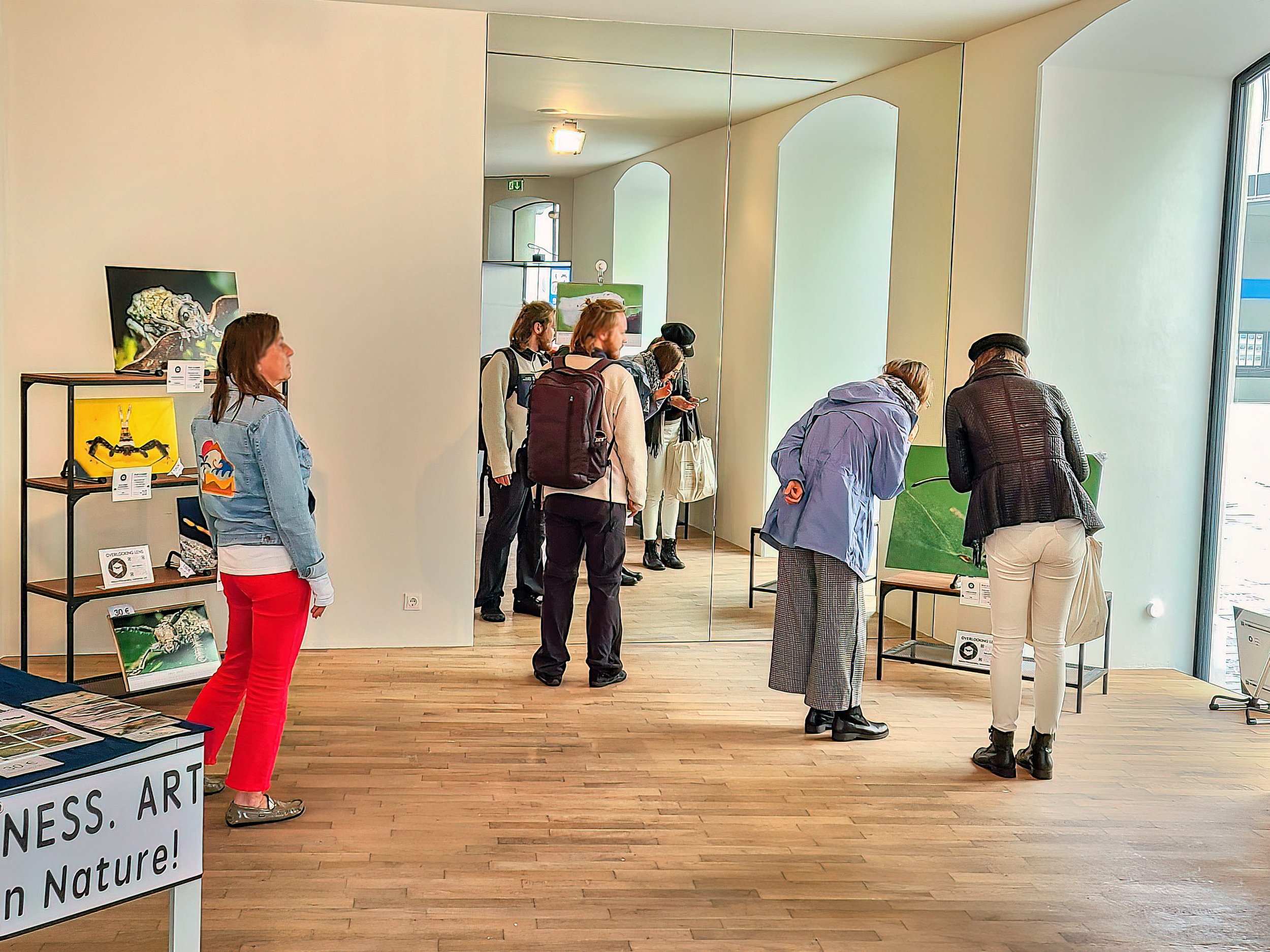 Med-El Professionals Explore the Chestnut Weevil
