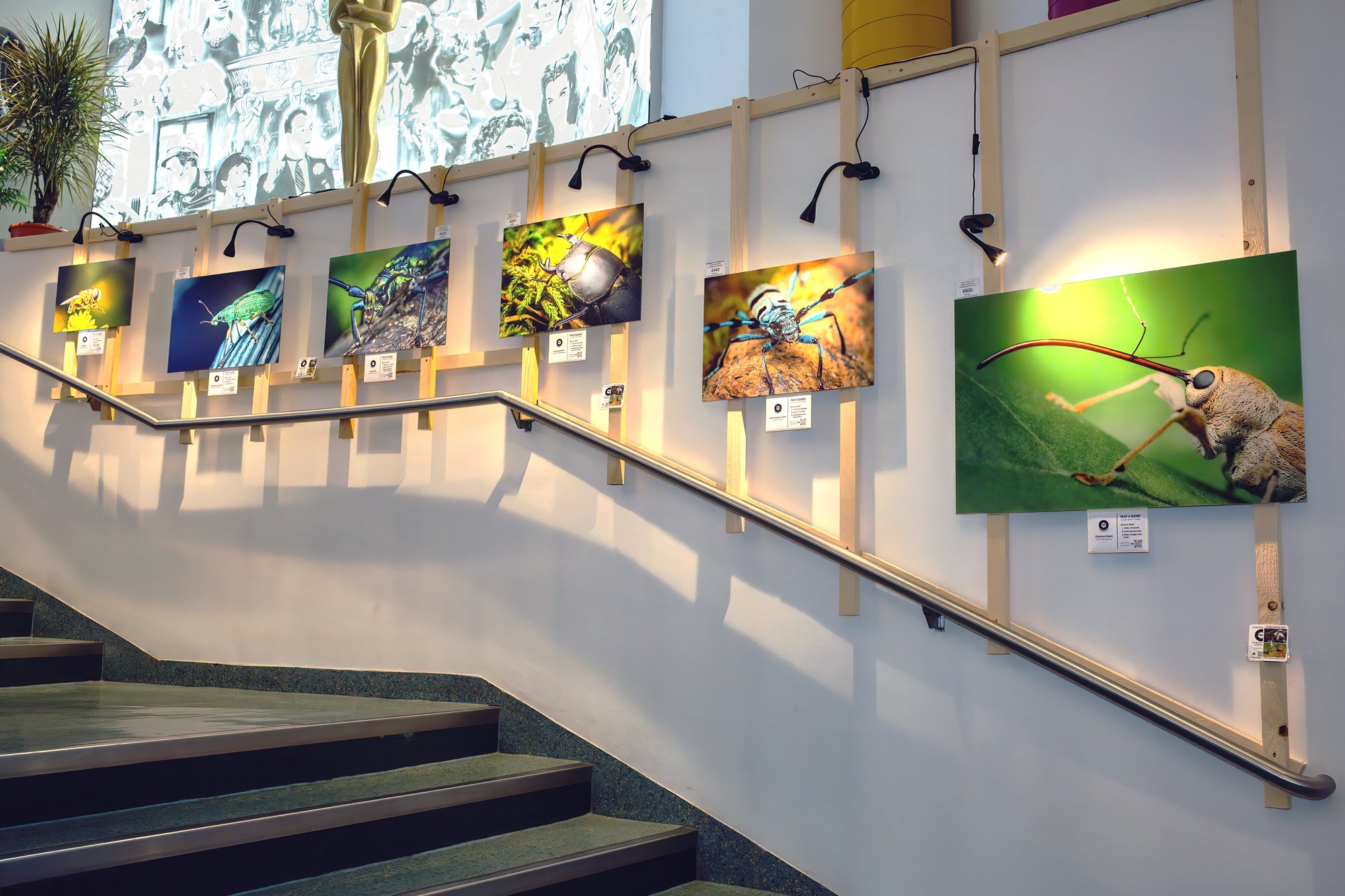 Final wall installation INFF 2025