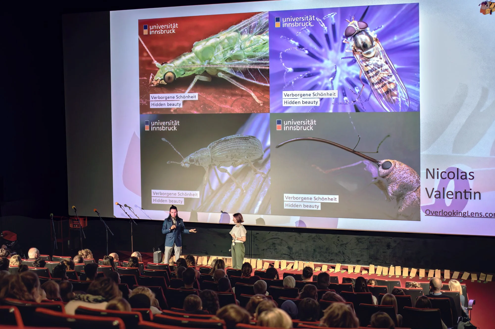 INFF Cinema Premiere Q&amp;A
