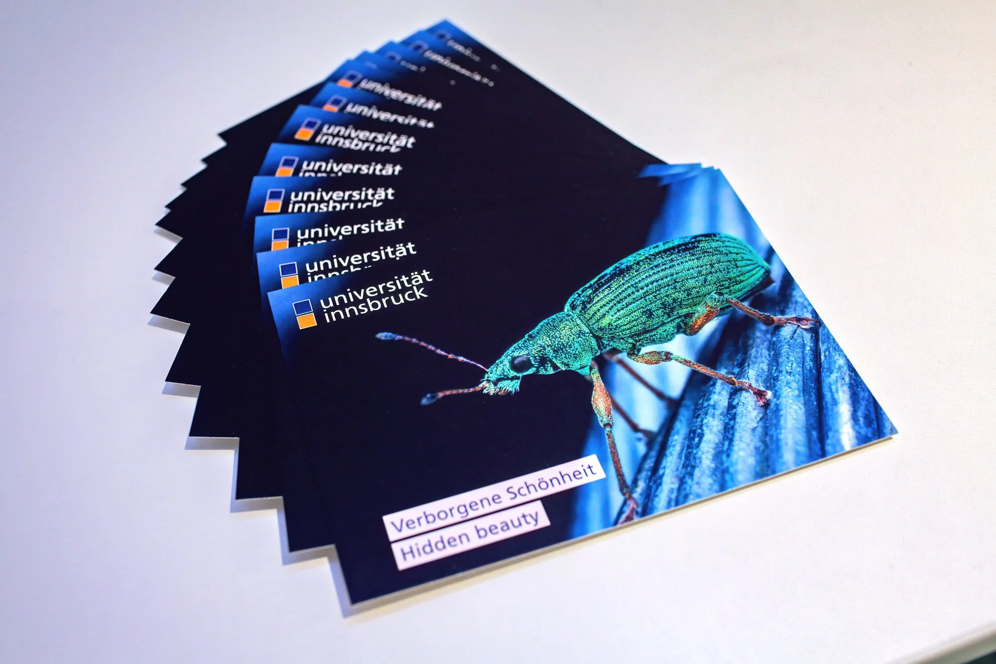 overlooking-lens-inff-2025-exhibition-table-limited-editions-photo-postcards.jpg