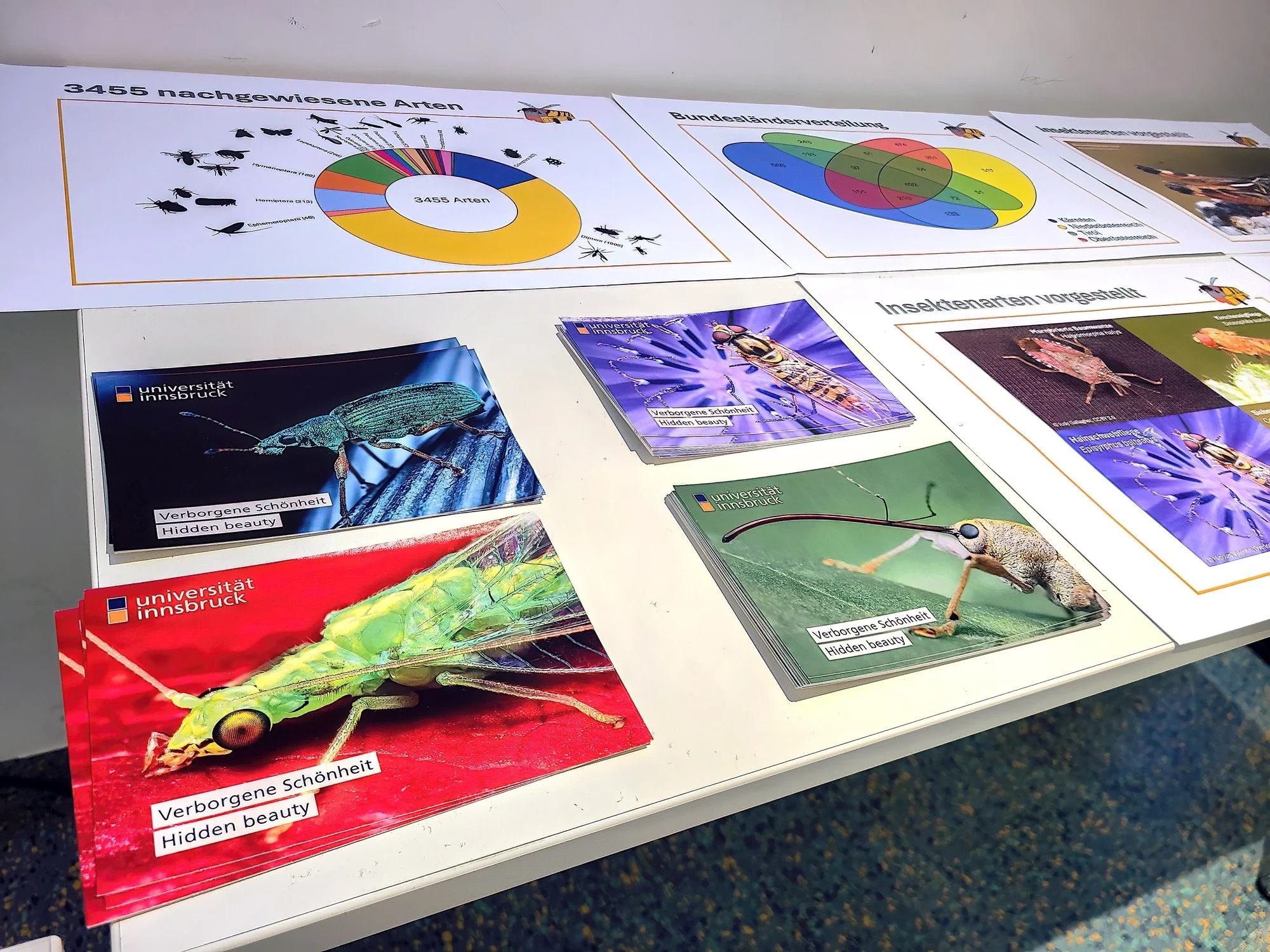 overlooking-lens-inff-2025-exhibition-table-limited-editions-postcards.jpg