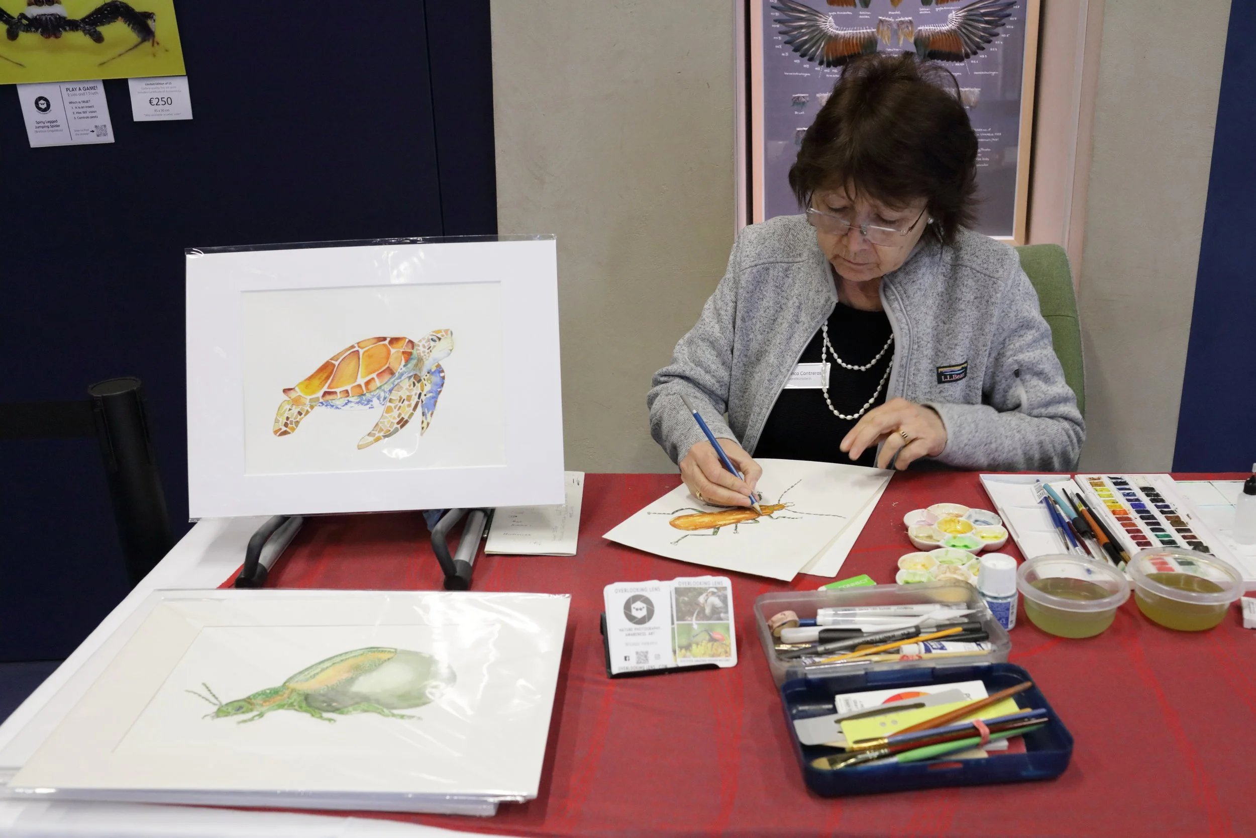 alpenzoo-exhibition-watercolor-artist-painting-beetle.jpg