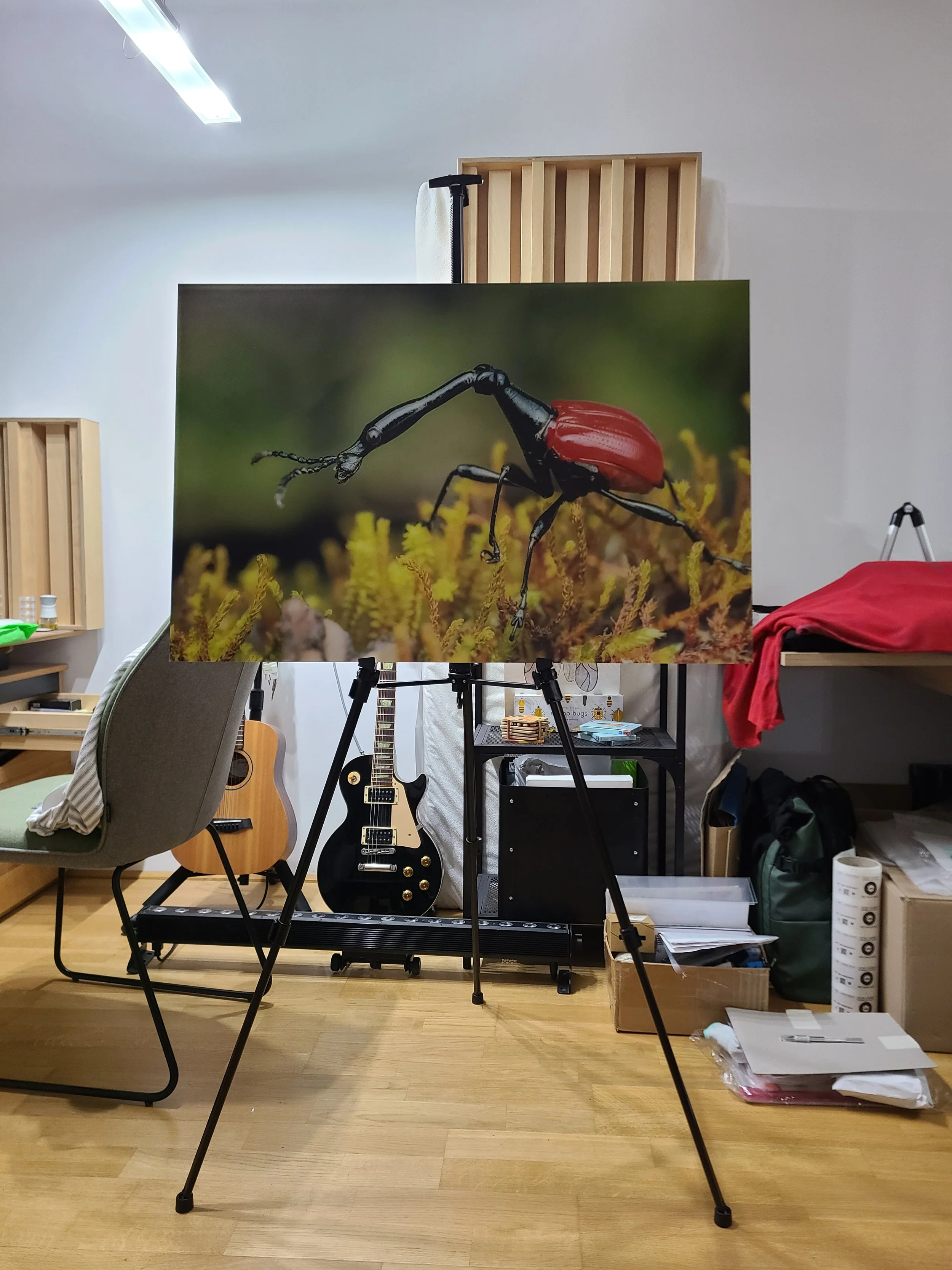 overlooking-lens-living-room-mockup-giraffe-weevil-tripod-print.jpg