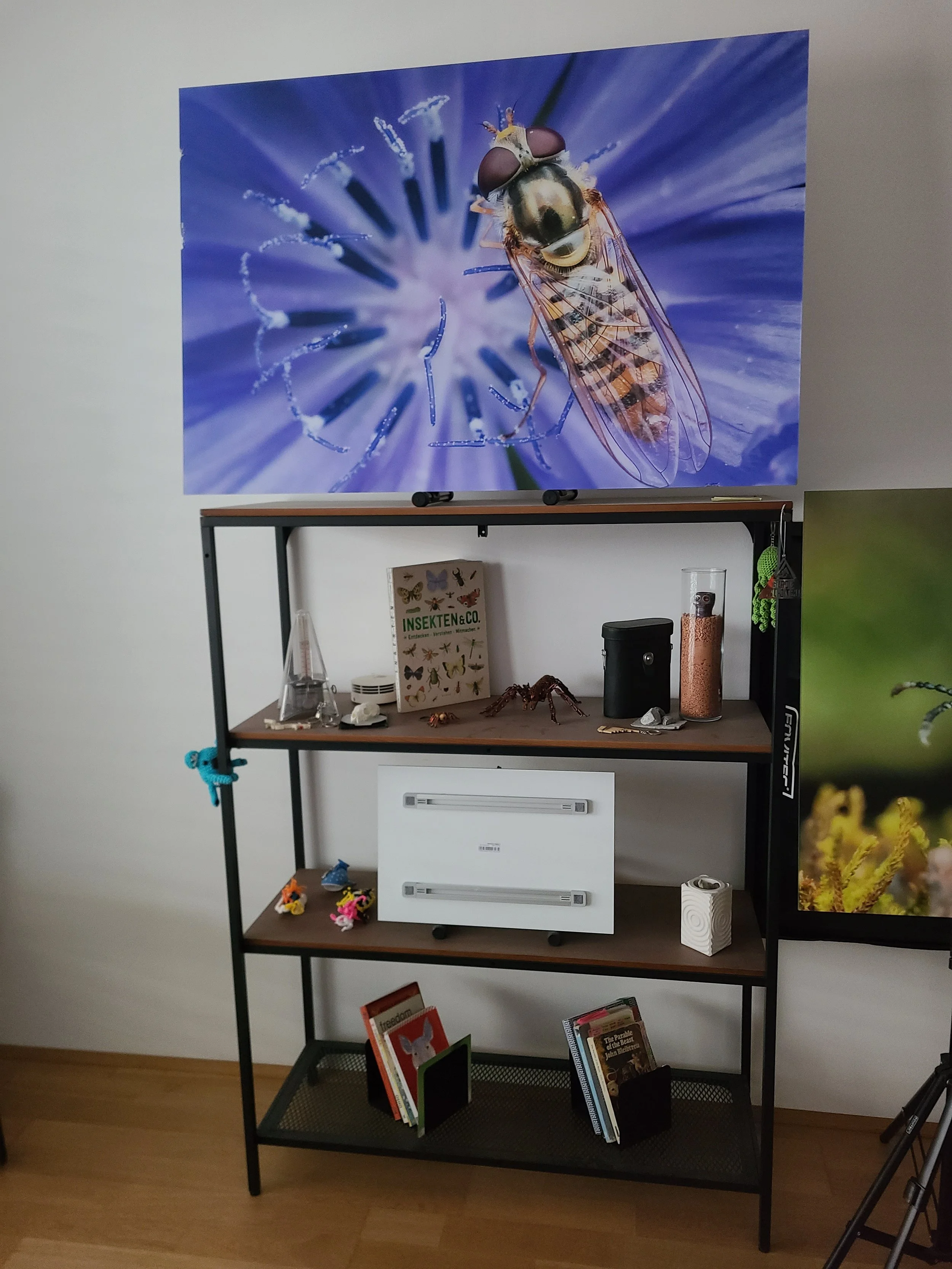 overlooking-lens-living-room-shelf-mockup-marmalade-hoverfly-tripod-print.jpg