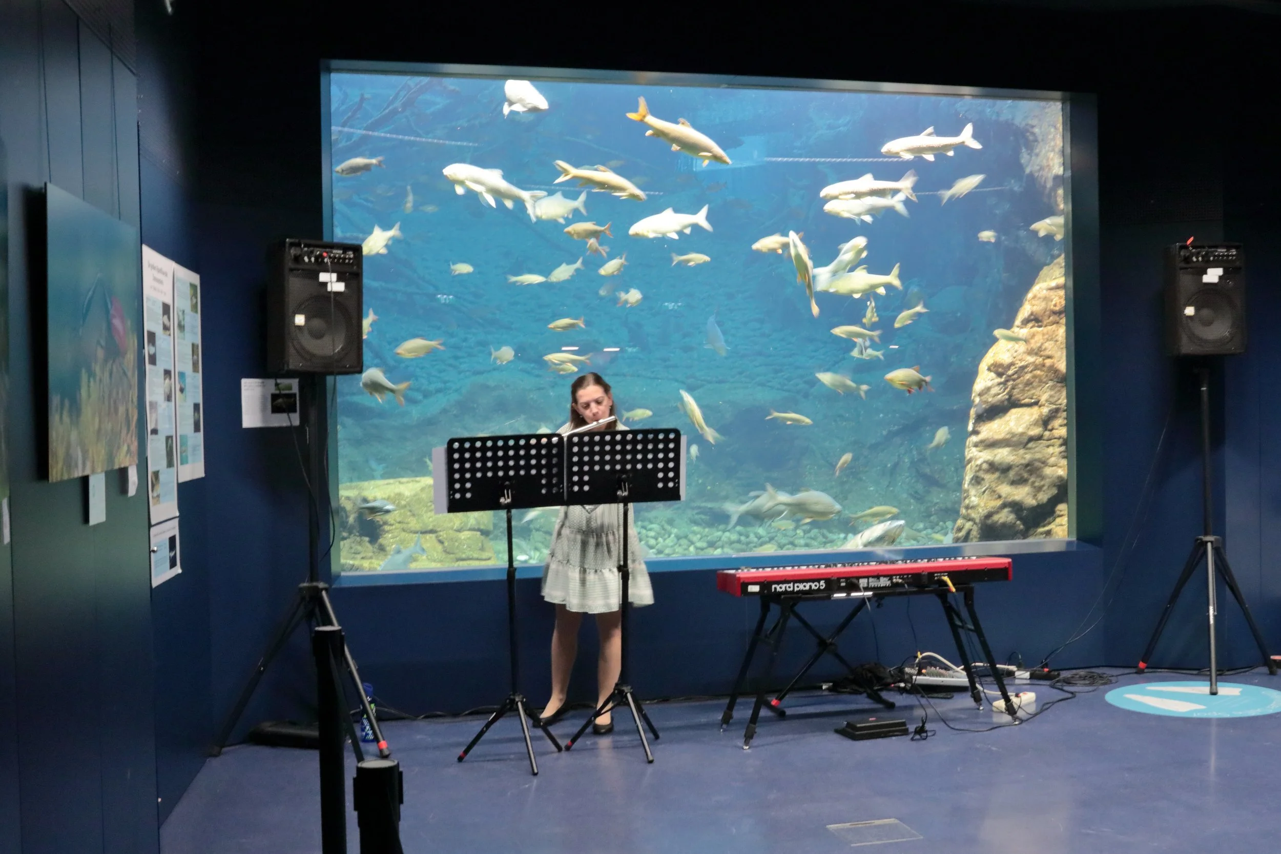 alpenzoo-vernissage-dominika-groz-flute-wide-aquarium-background.jpg