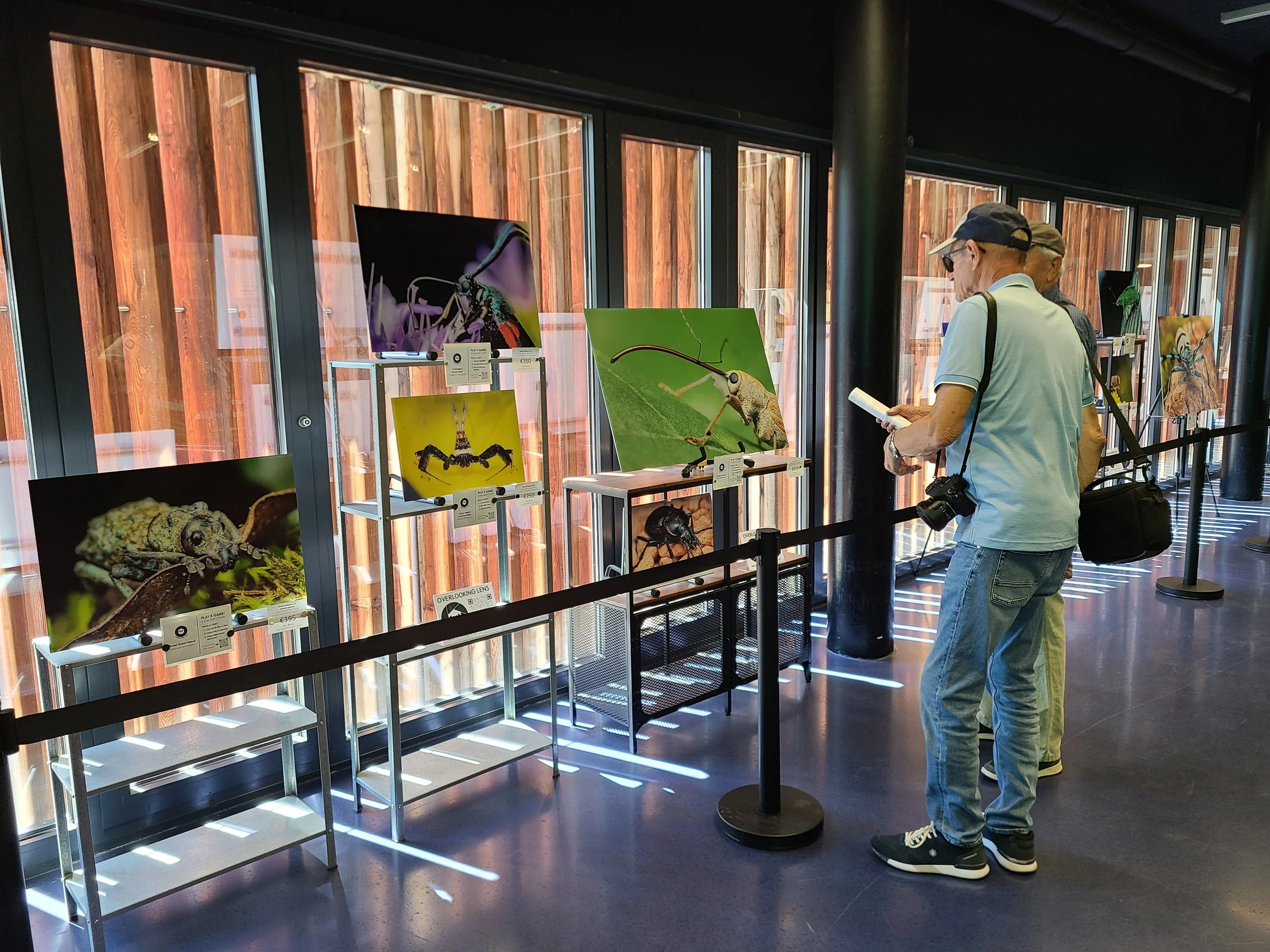 overlooking-lens-alpenzoo-insects-of-austria-wide-two-lies-one-truth-game-attendees.jpg