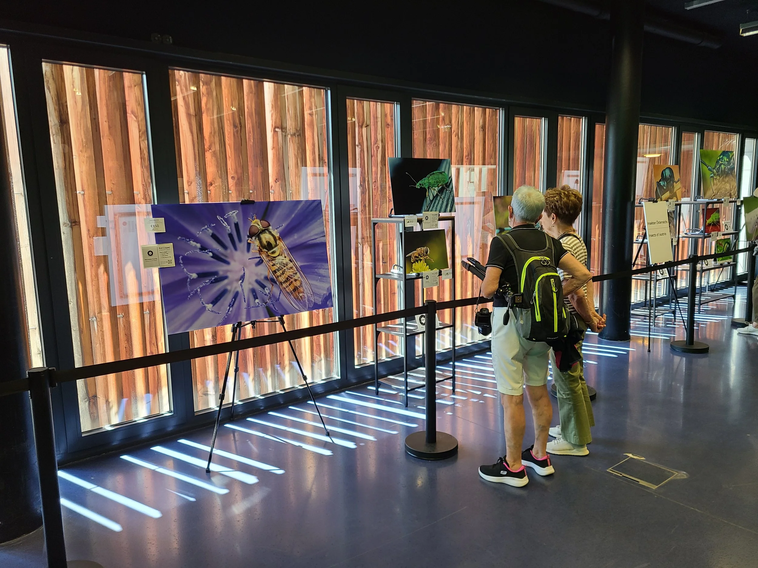overlooking-lens-alpenzoo-insects-of-austria-wide-attendees-viewing-fine-art-prints.jpg