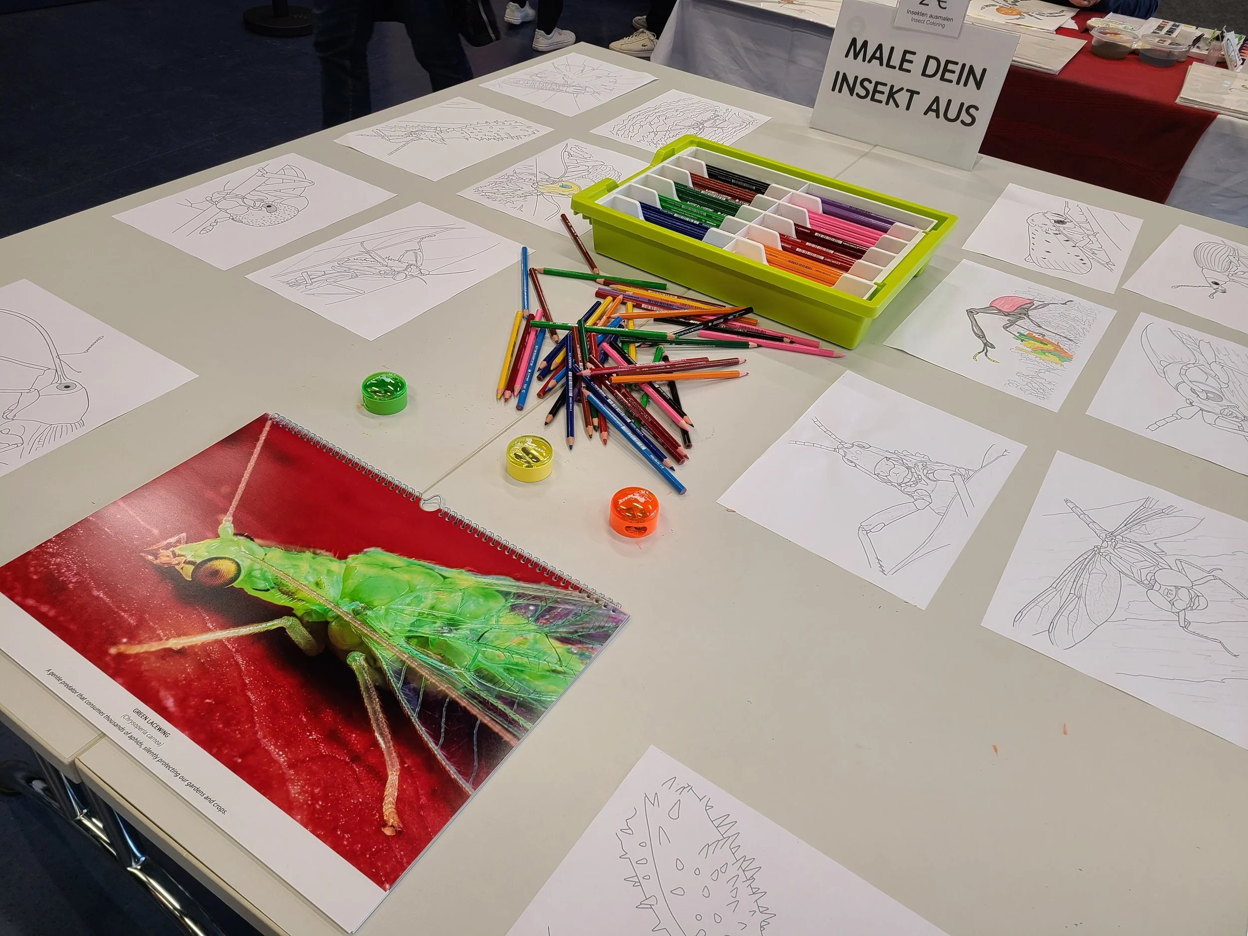 overlooking-lens-alpenzoo-kids-coloring-table-wide-colored-pencils-insect-sheets.jpg