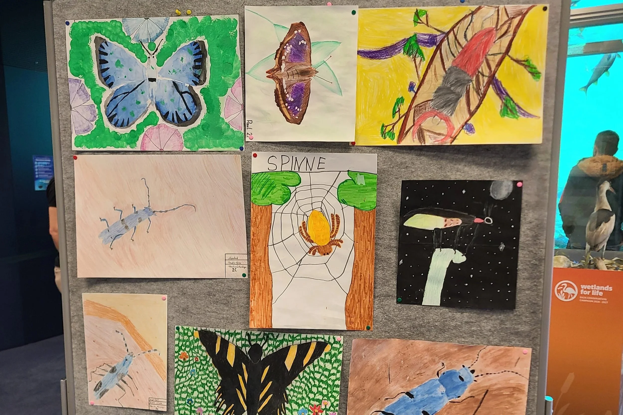 overlooking-lens-alpenzoo-student-insect-paintings-result-02.jpg