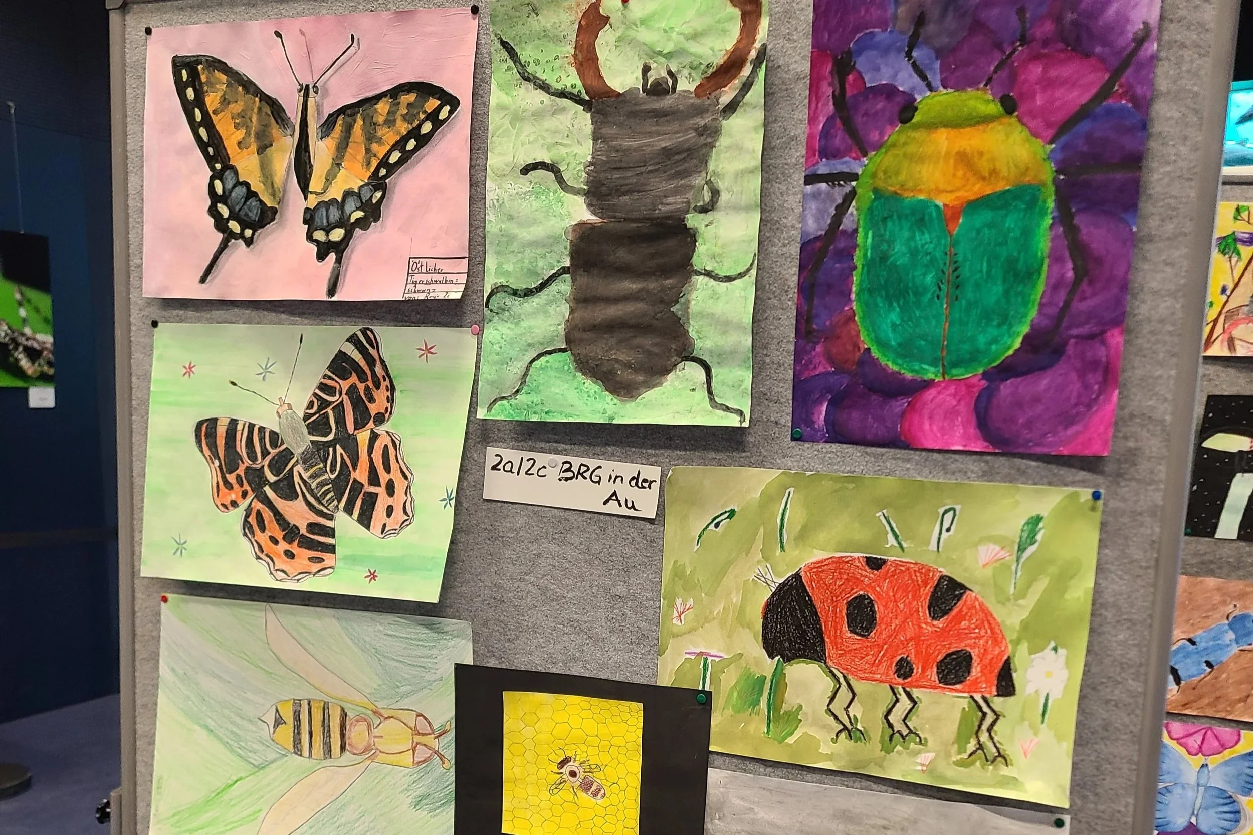 overlooking-lens-alpenzoo-student-insect-paintings-result-03.jpg