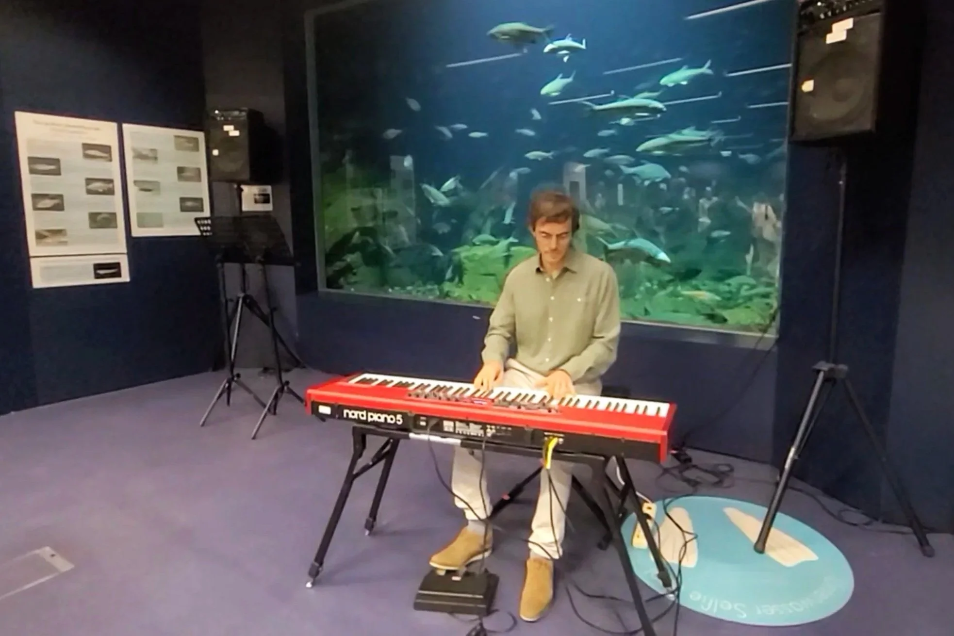 alpenzoo-vernissage-pablo-galeazzi-piano-wide-aquarium-background.jpg