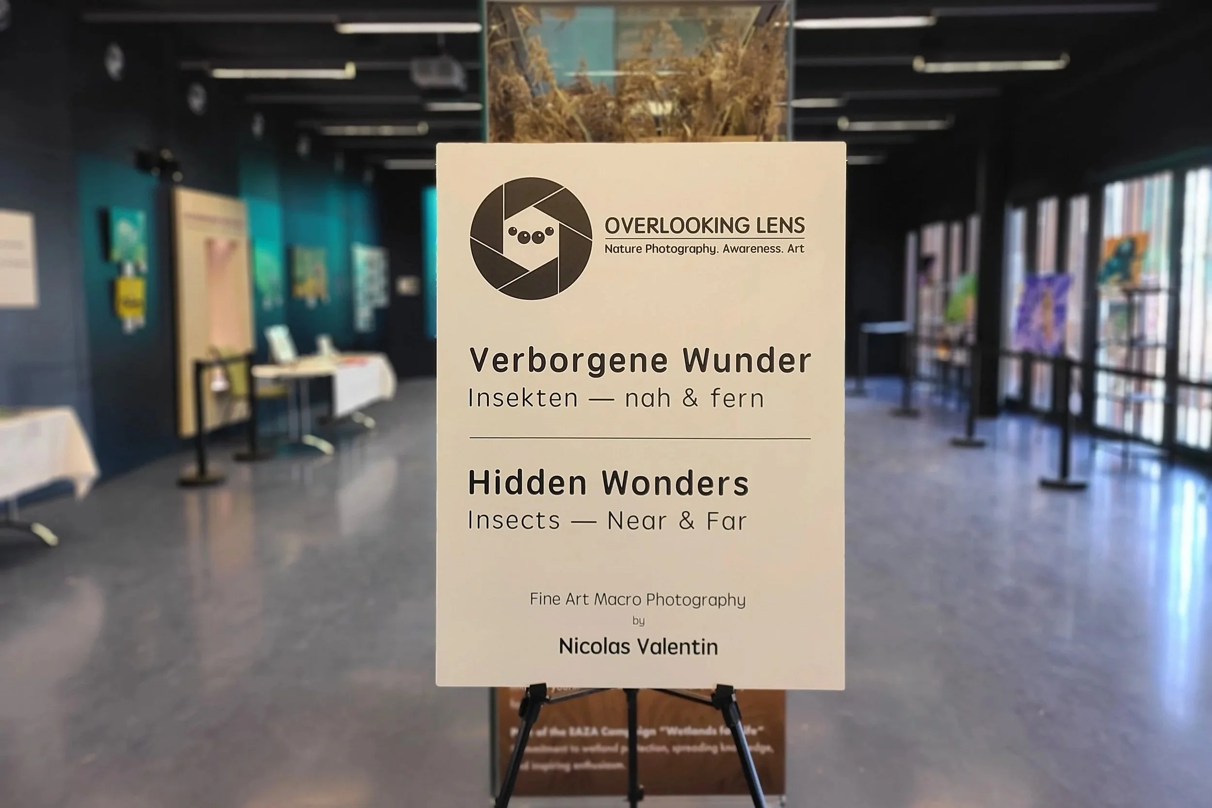 hidden-wonders-alpenzoo-welcome-sign-overlooking-lens-nicolas-valentin.jpg