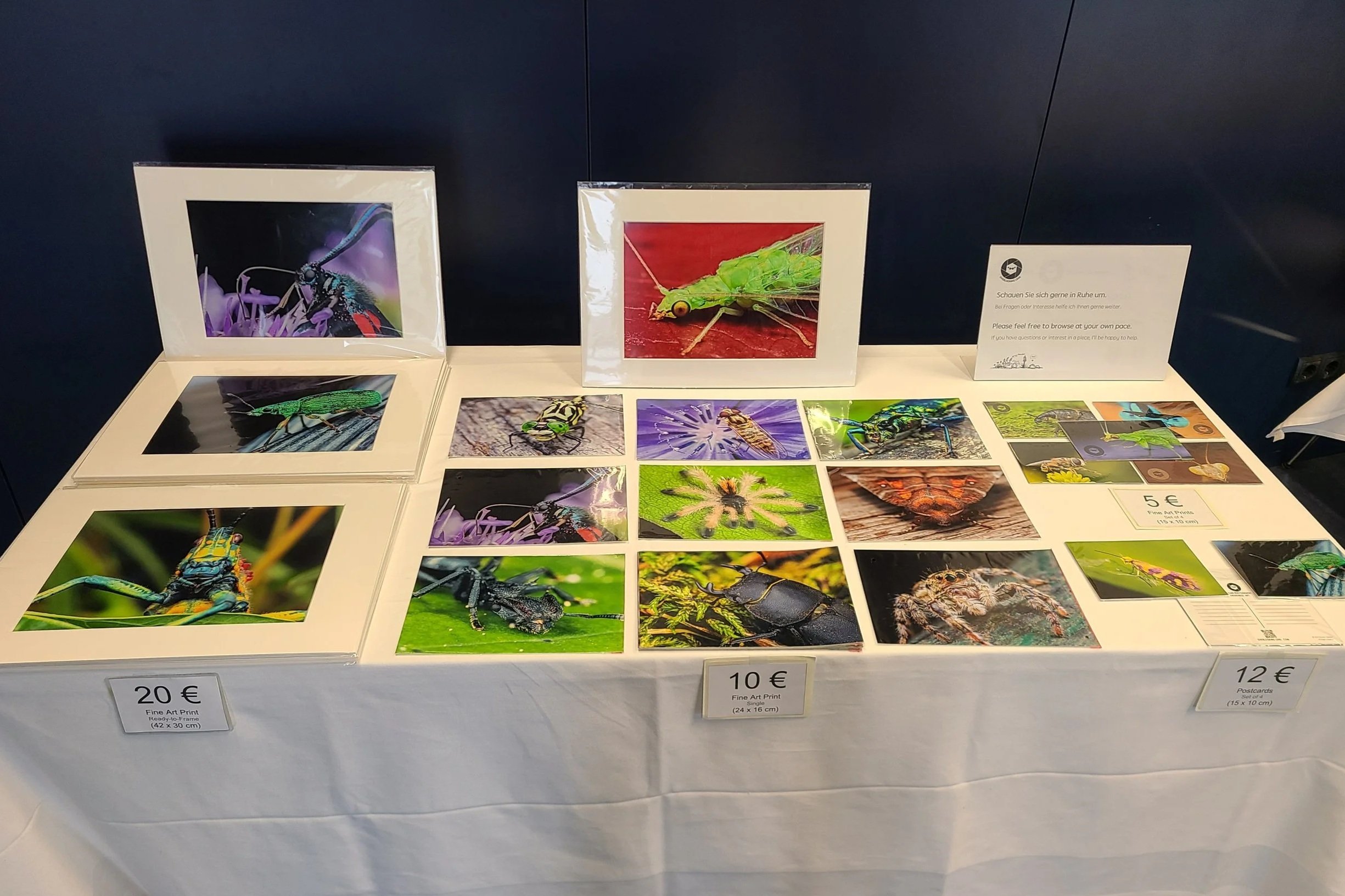 alpenzoo-shop-corner-matted-prints-small-prints-for-sale.jpg