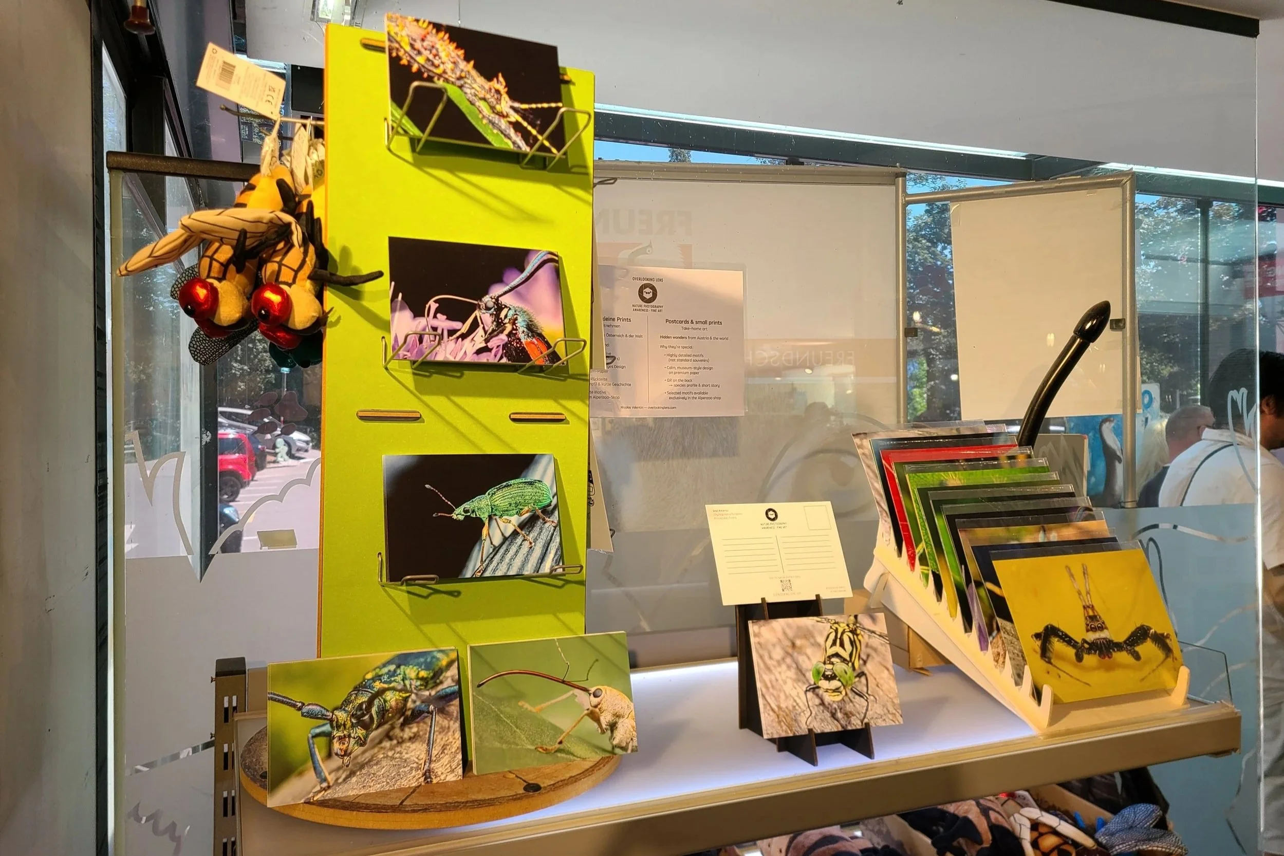 alpenzoo-shop-hidden-wonders-corner-postcards-small-prints-exclusive.jpg