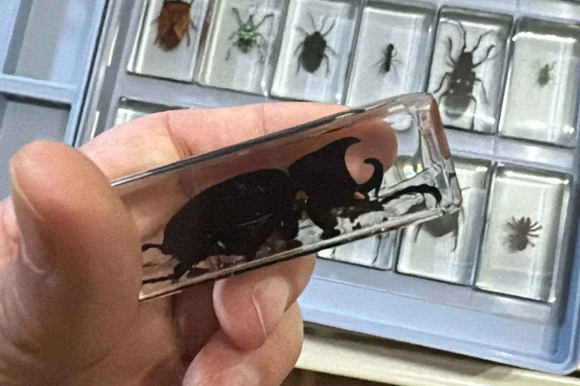 overlooking-lens-workshop-a-goliath-beetle-in-resin-closeup.jpg