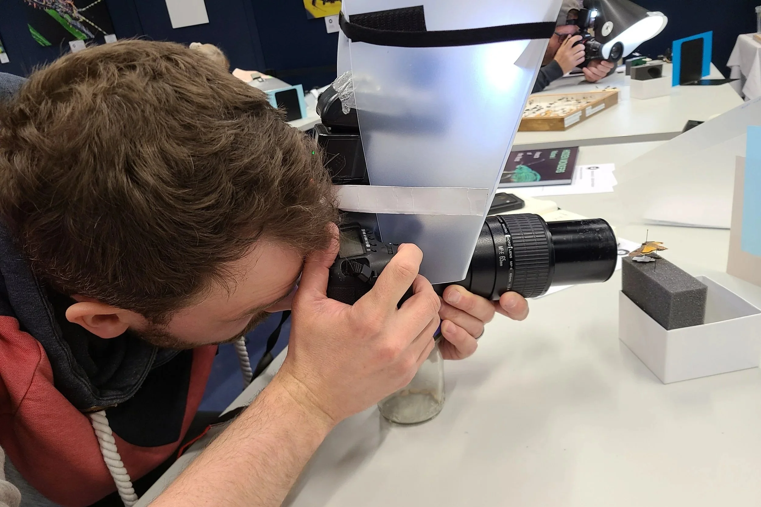 overlooking-lens-workshop-b-participant-macro-photography-closeup-01.jpg