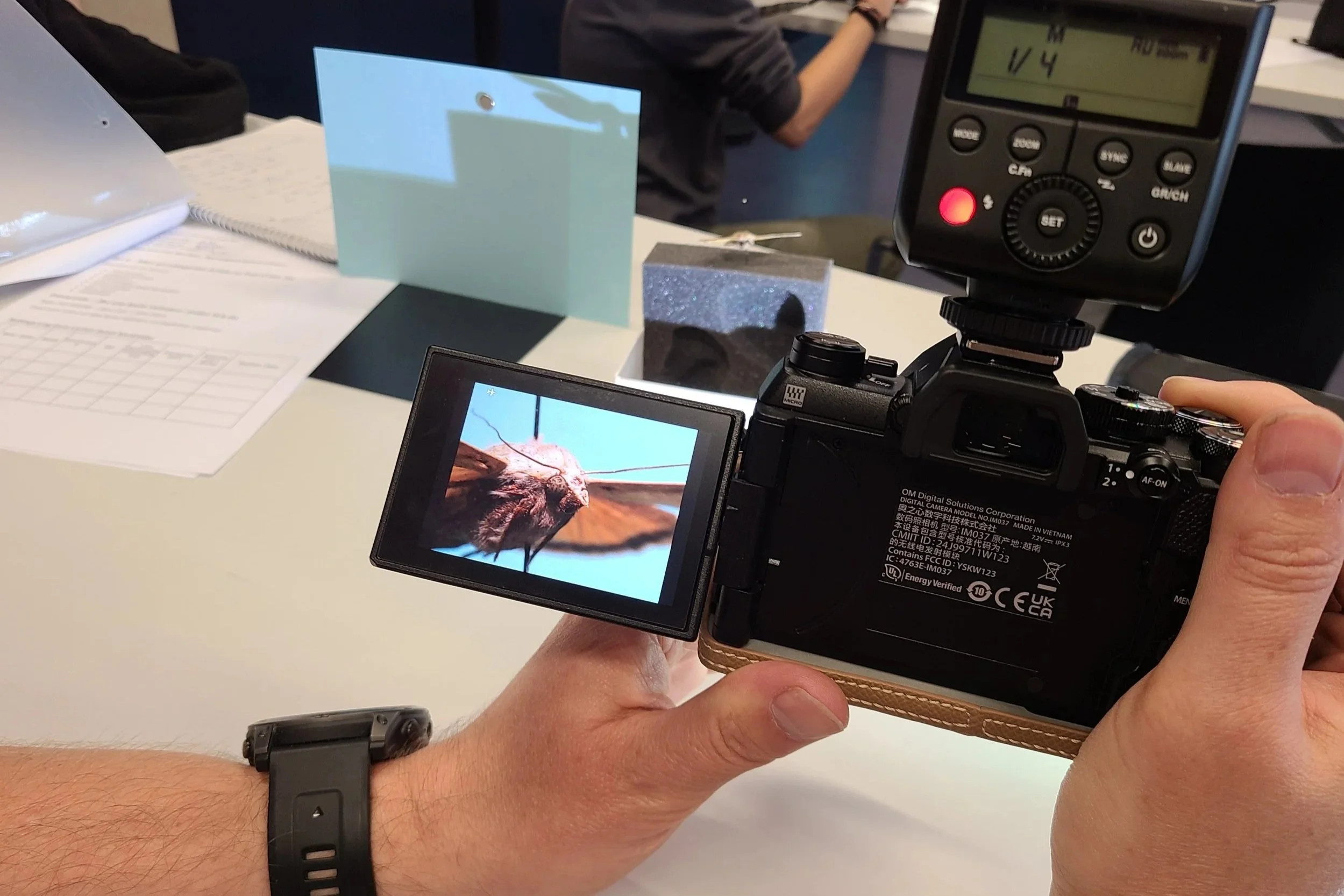 workshop-b-camera-screen-moth-macro-portrait-first-time.jpg
