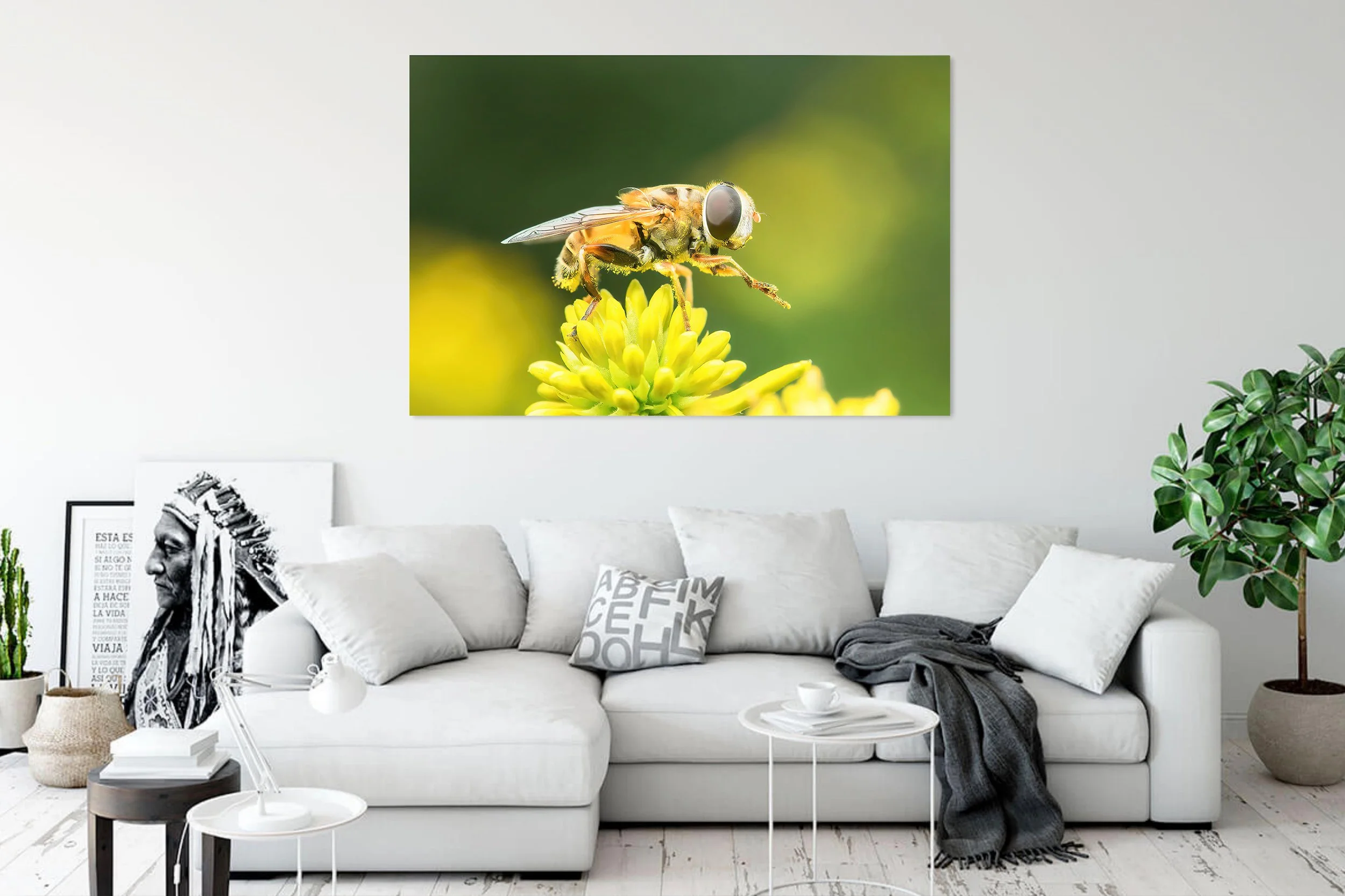 Drone-Fly-in-White-Livingroom-2.jpg
