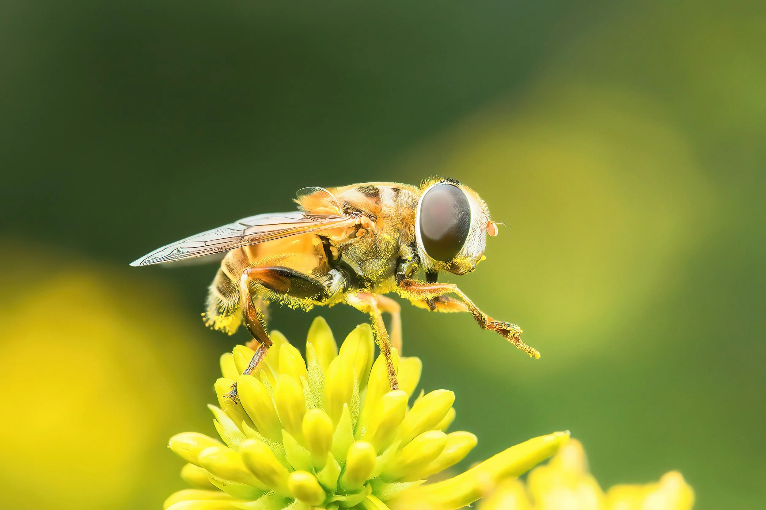 C7D_6838-2-(2736x1824-Q75).jpg