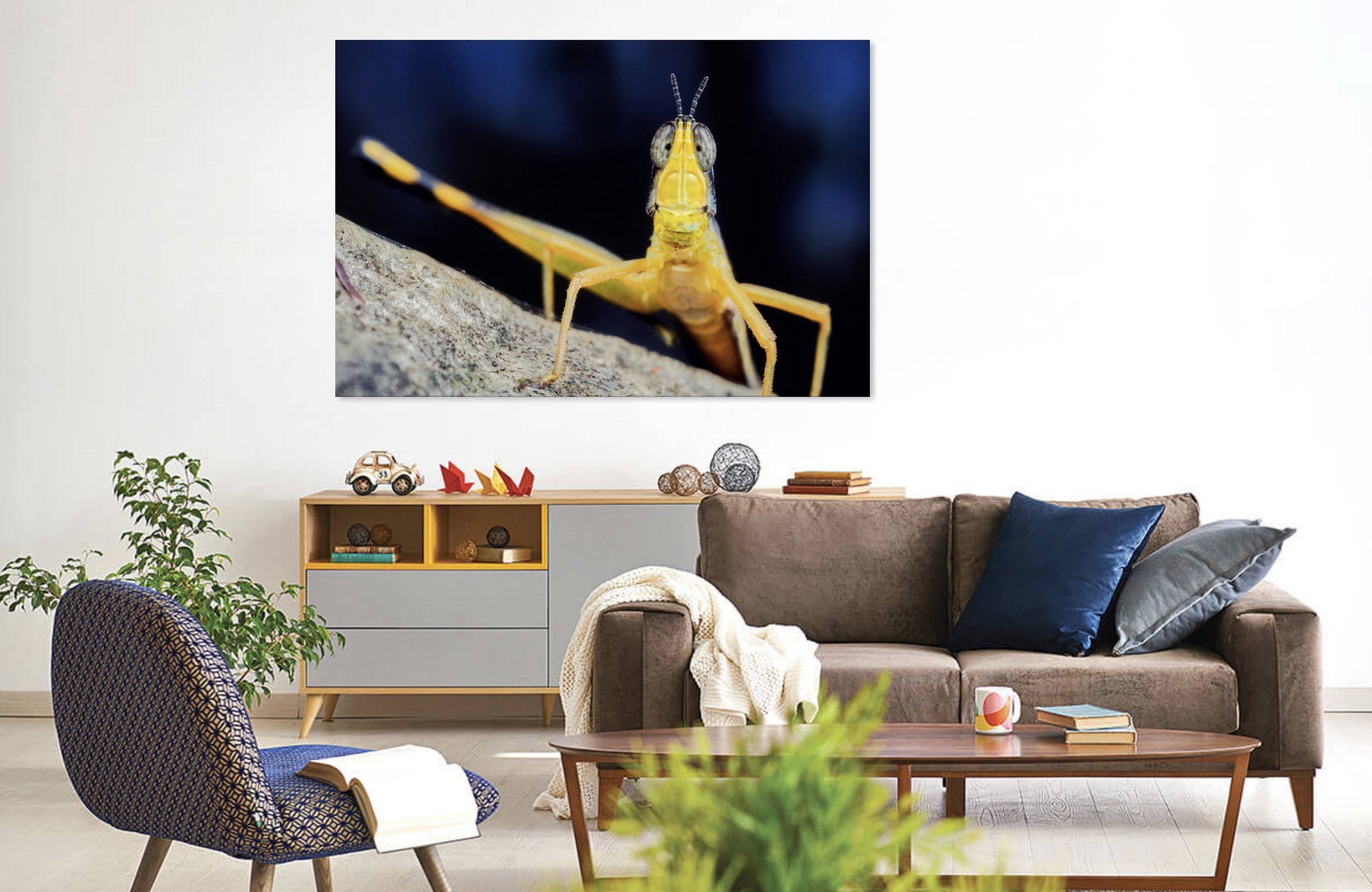 Monkey Grasshopper 1.jpg