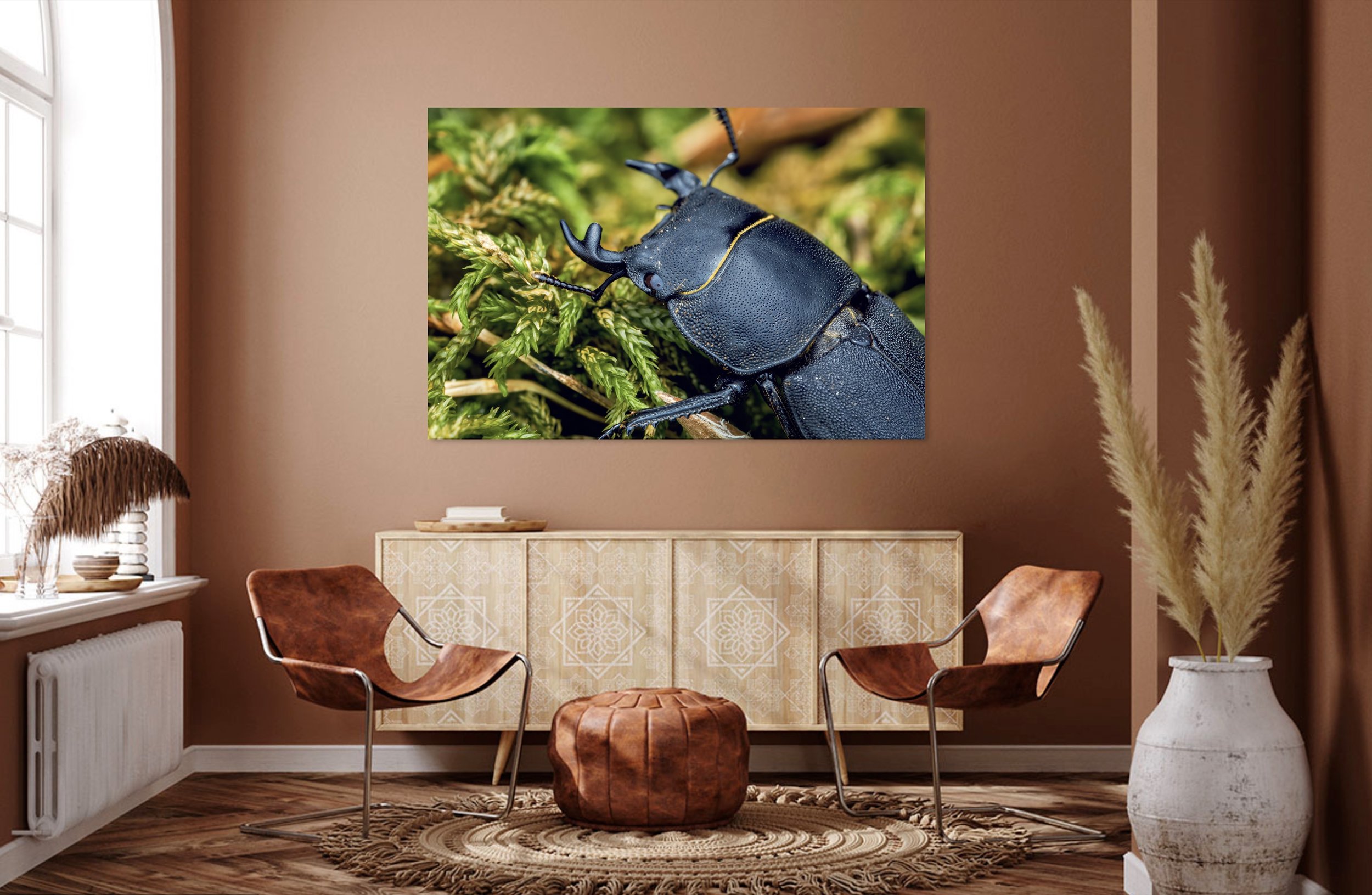 Lesser Stag Beetle 2.jpg