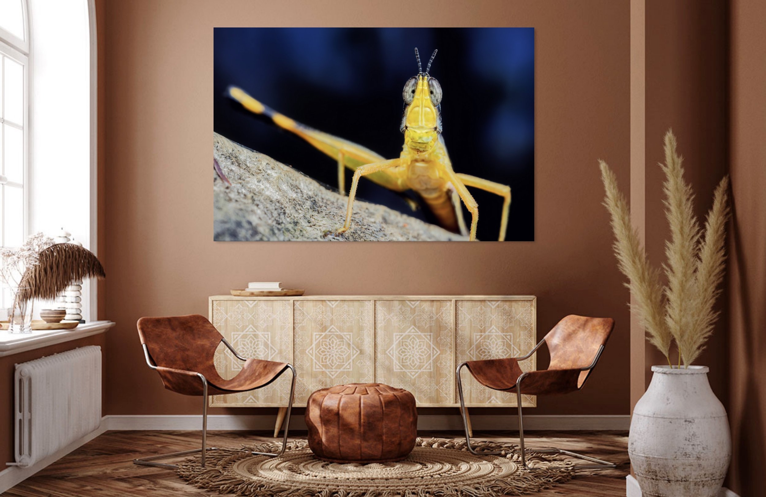 Monkey Grasshopper 2.jpg