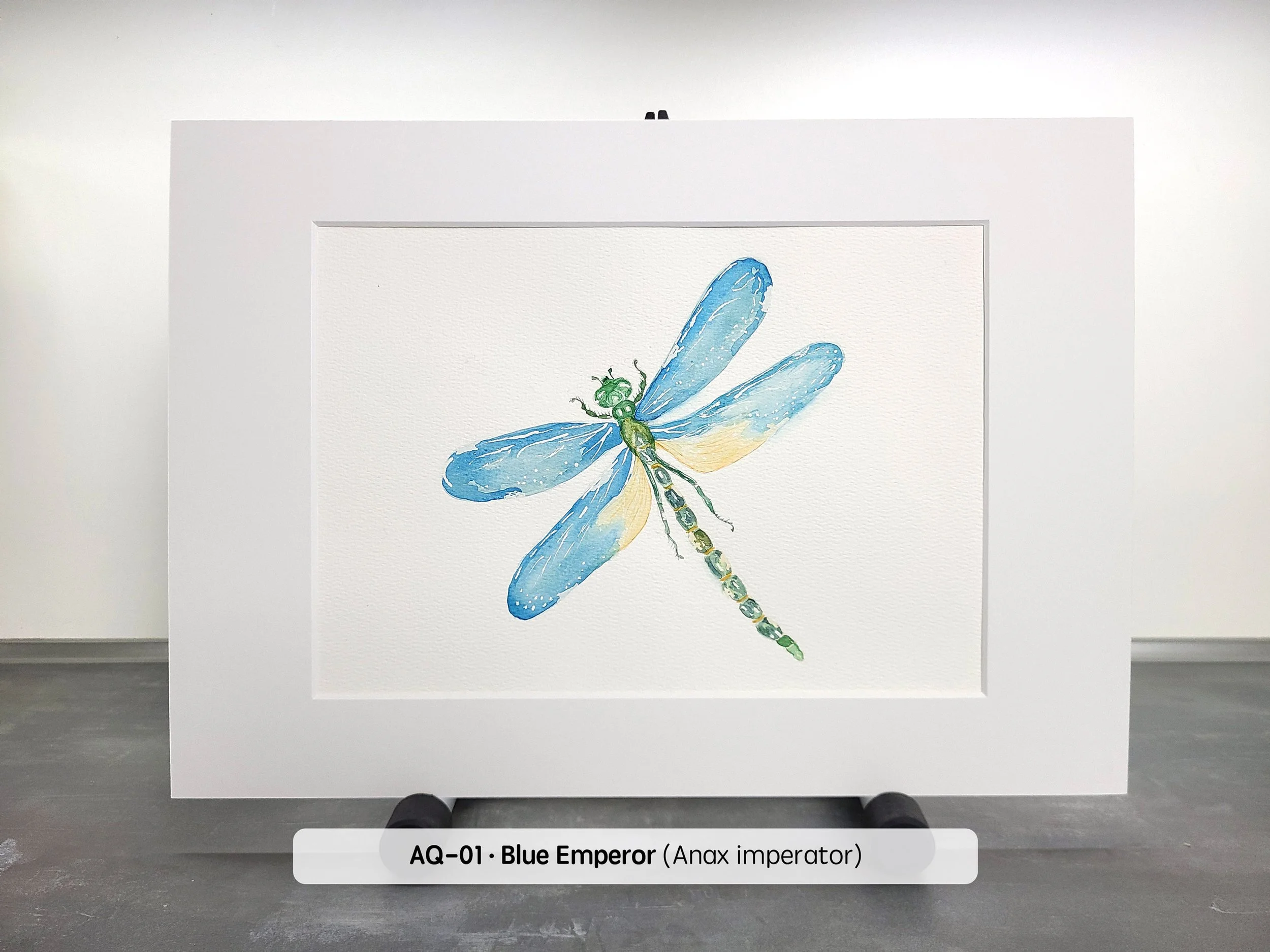 Fine Art Original Watercolors