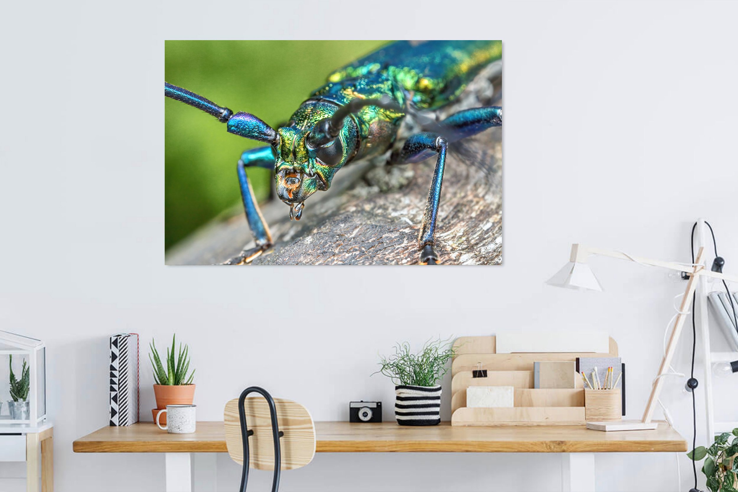 Musk-Beetle-in-Home-Office.jpg