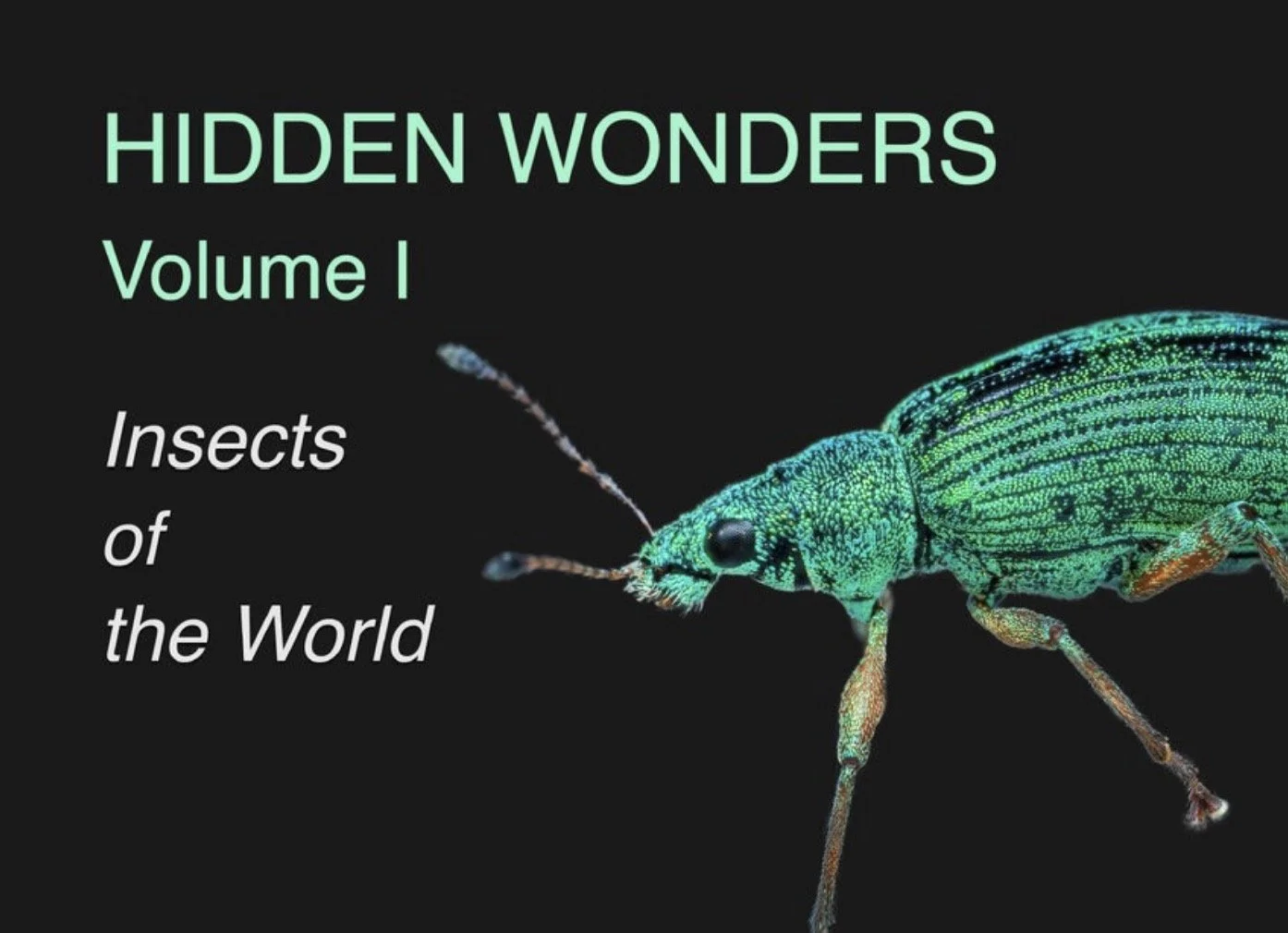 Hidden Wonders - Front Cover.jpg