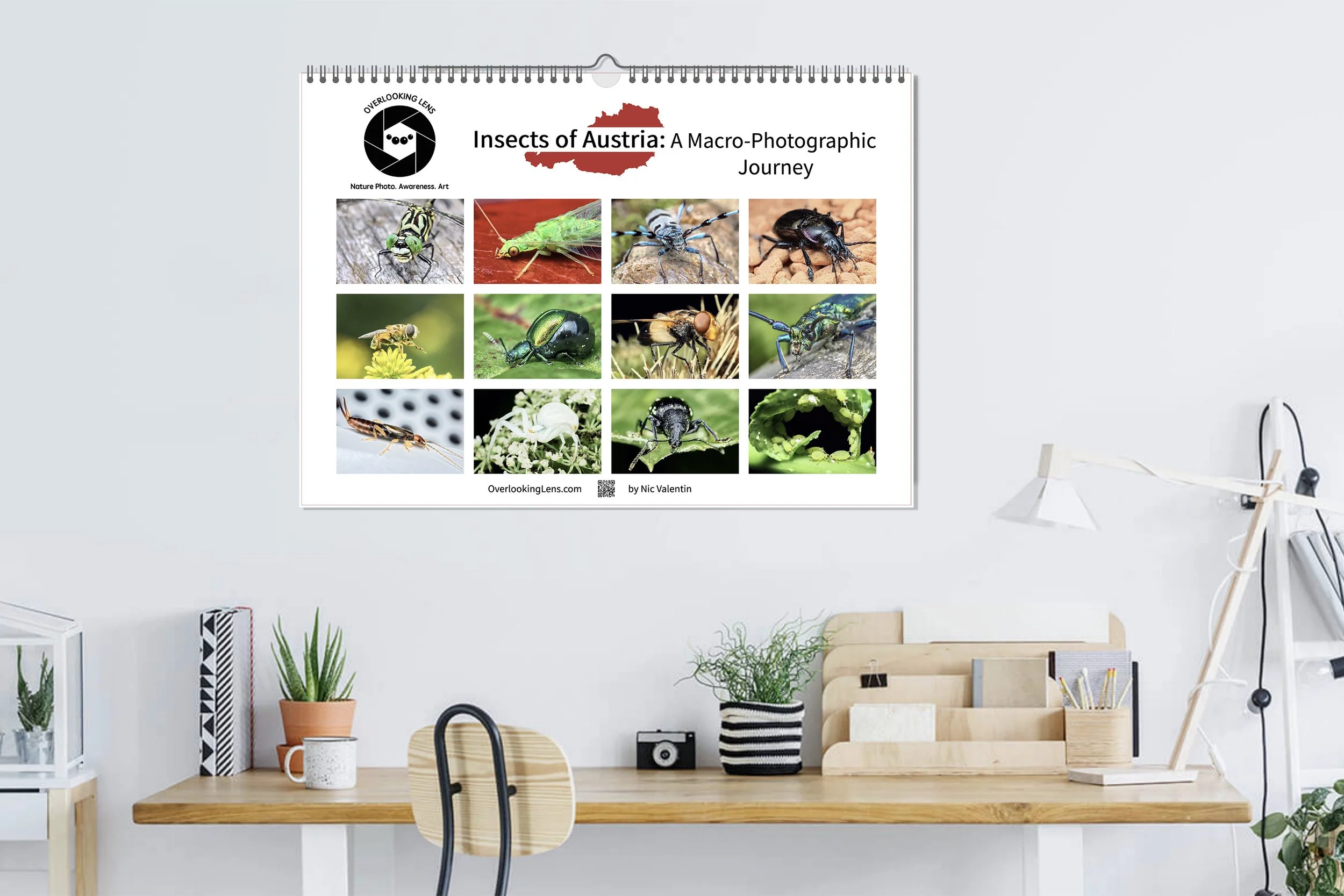Calendar - Insects of Austria.jpg