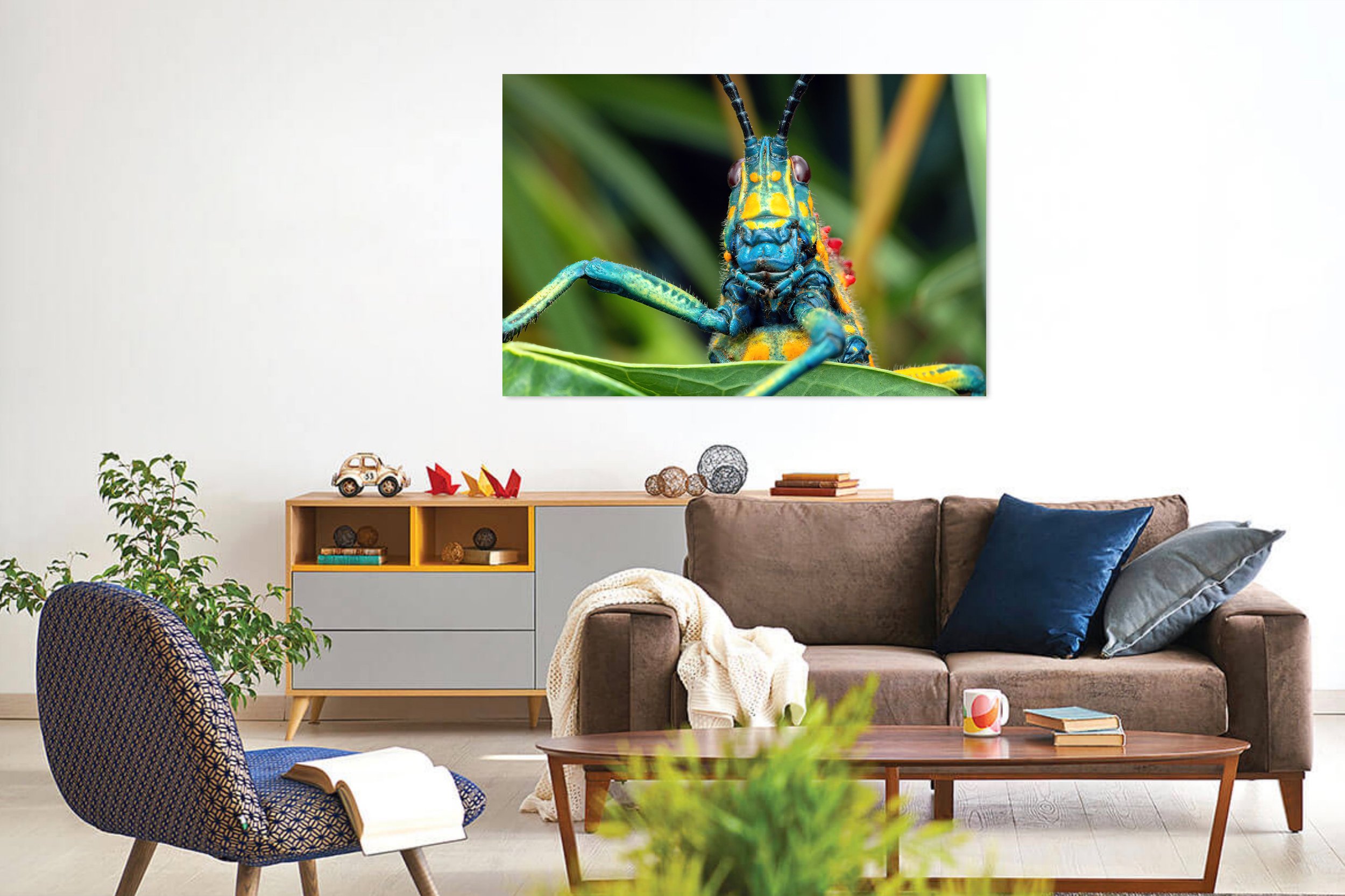 Rainbow-Locust-in-Living-Room.jpg