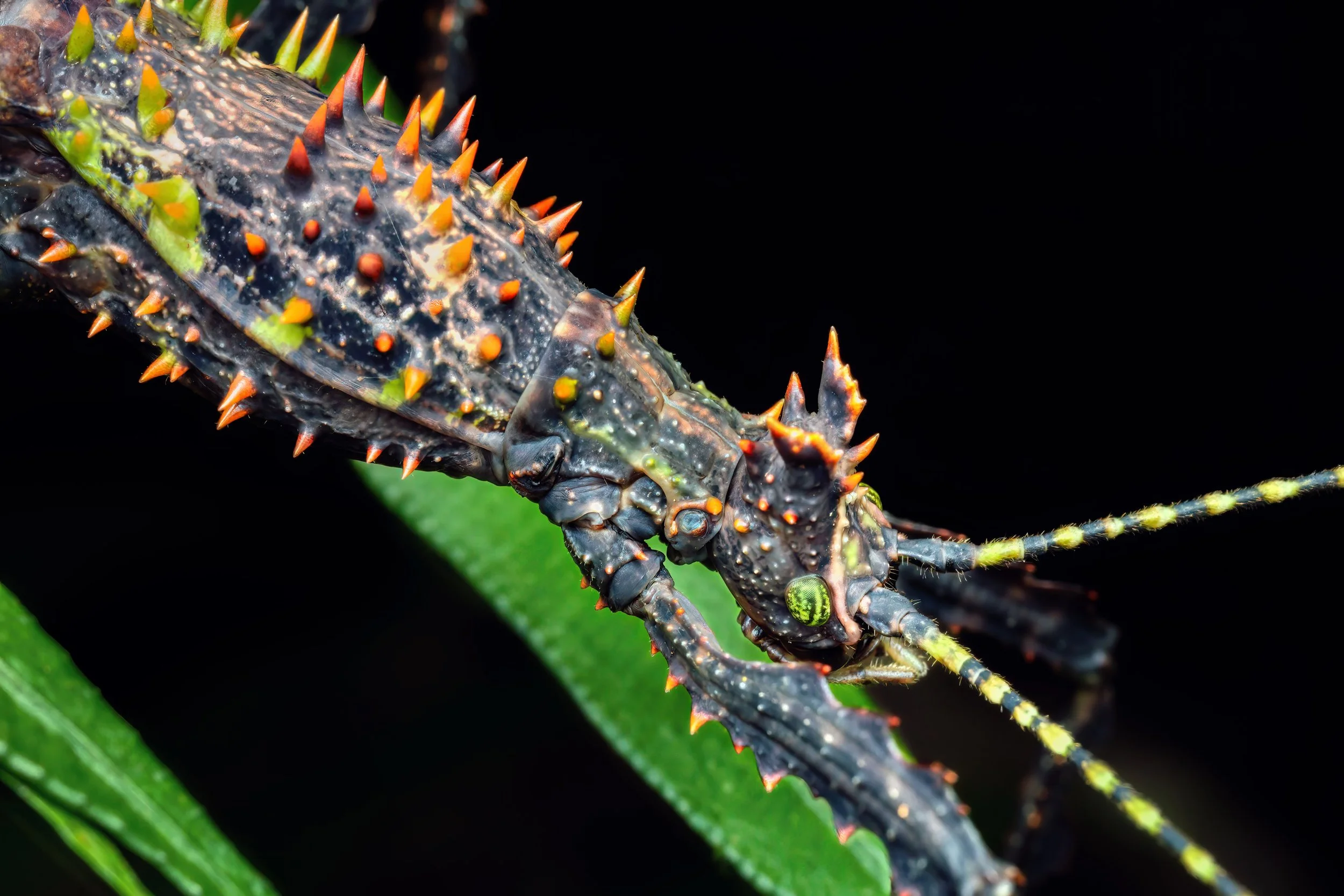 599A6067-2-(2880x1920-Q81).jpg