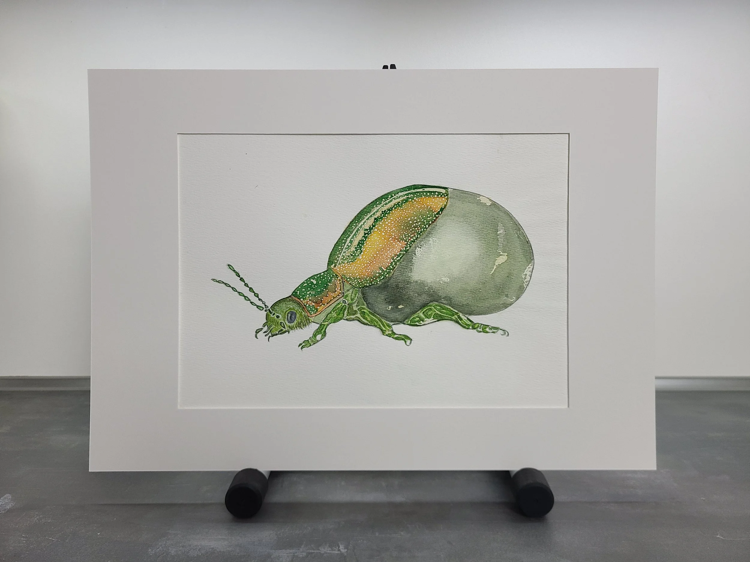 Watercolor - Green Dock Beetle.jpg