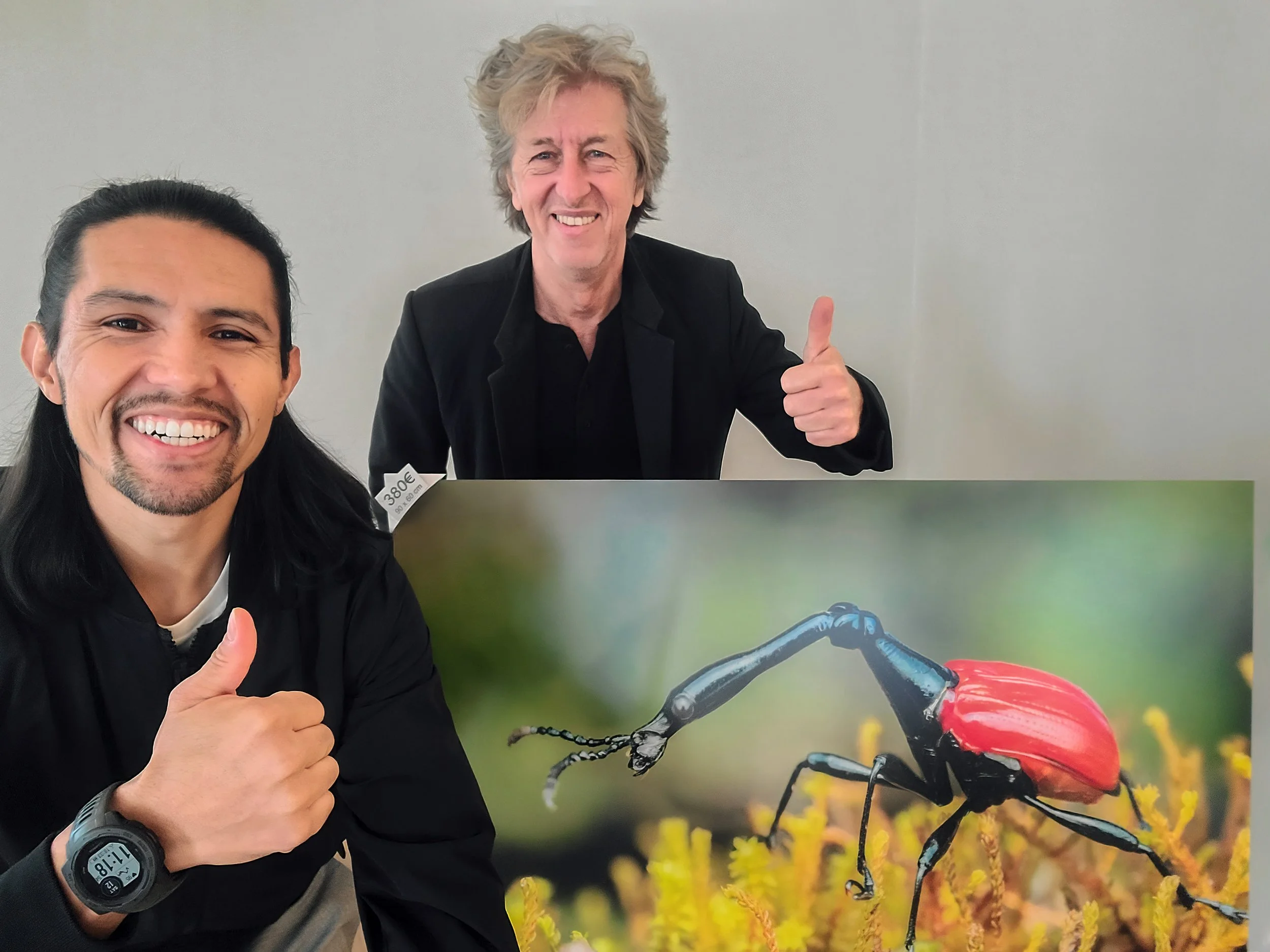 Revealing the Unseen: A Collaborative Exhibition Transforms Innsbruck's View of Insects