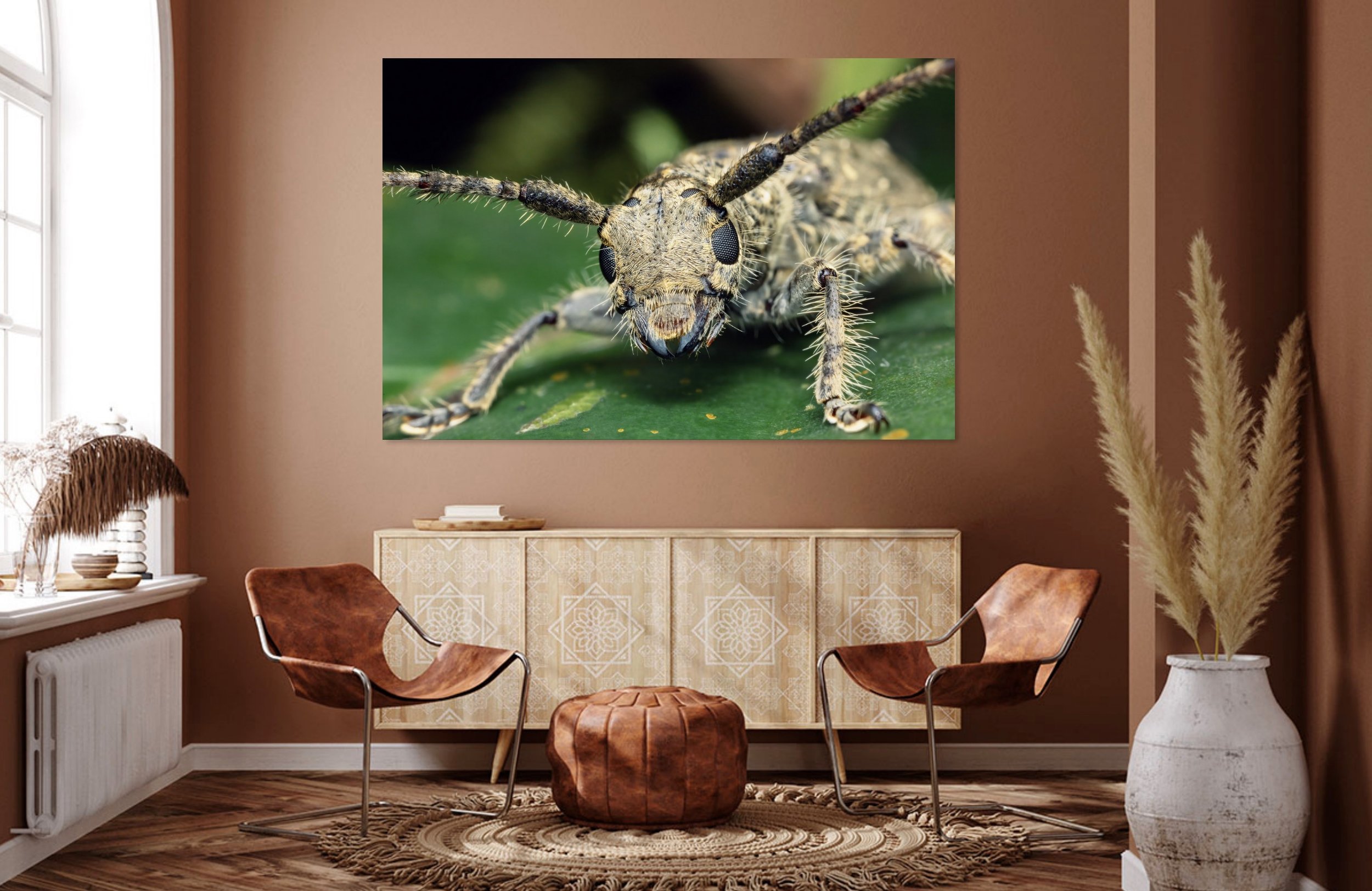 Clouded Longhorn 1.jpg
