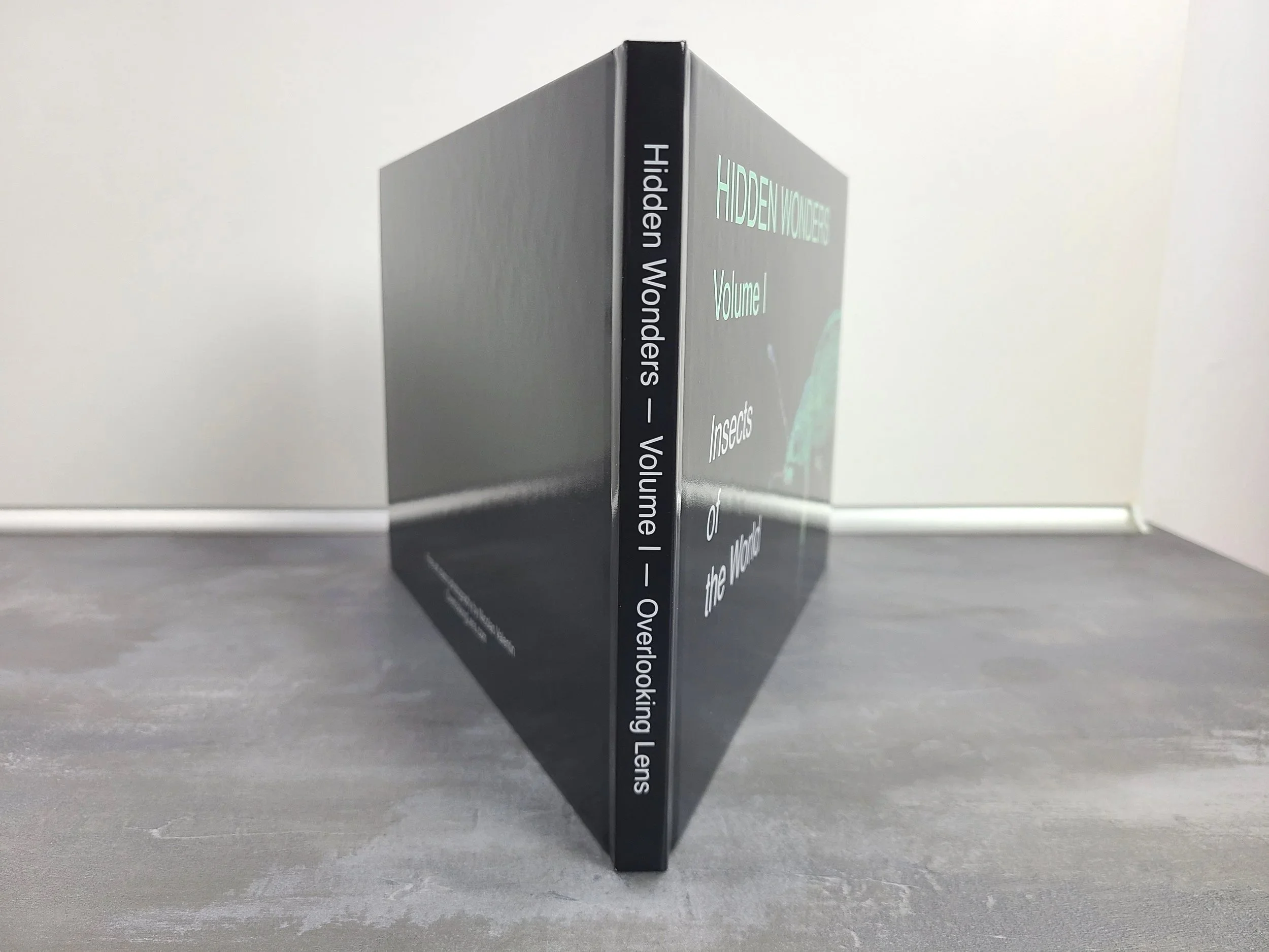 Photobook+-+Back+Bone.jpg