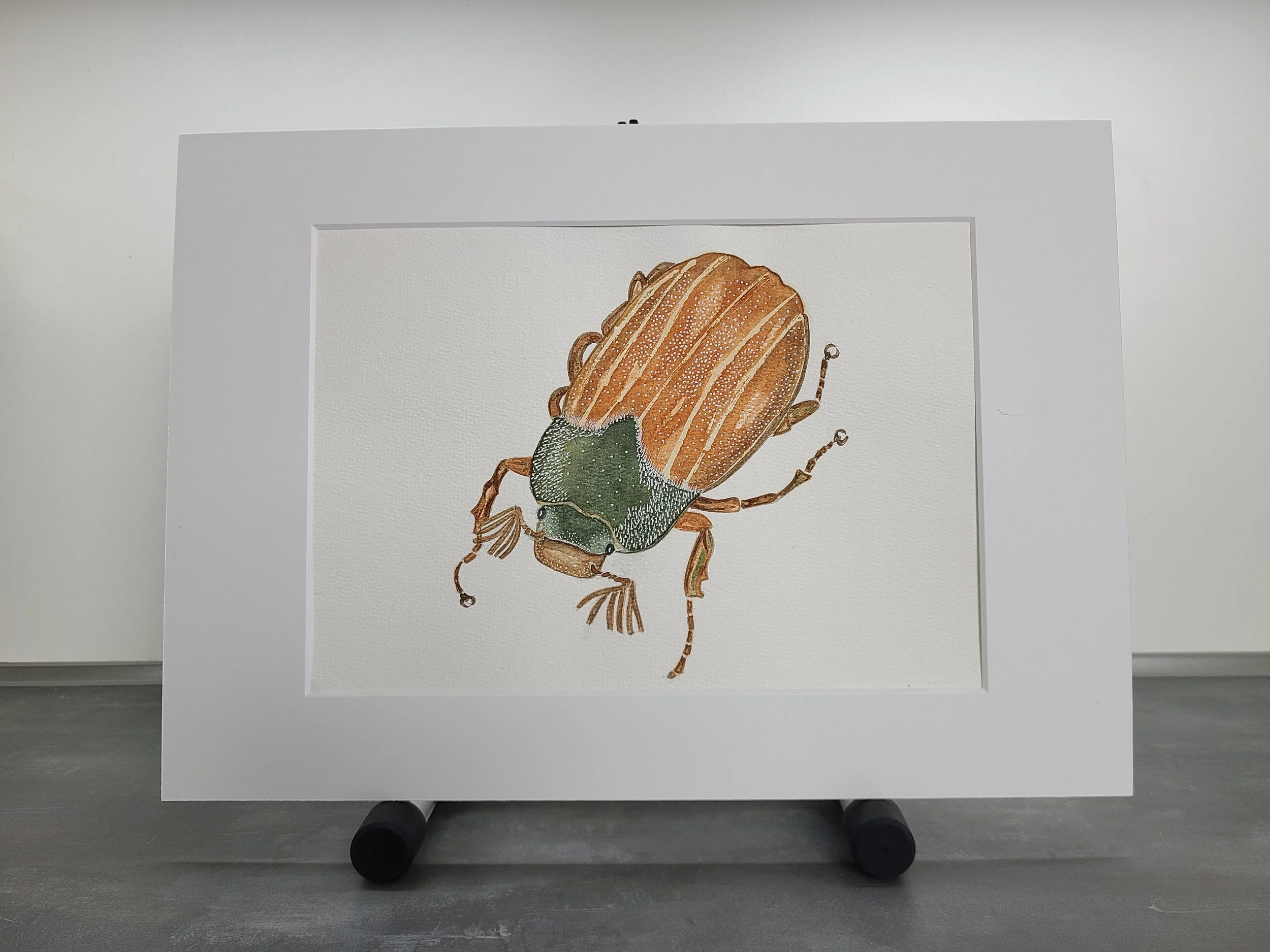 Watercolor - June Bug.jpg