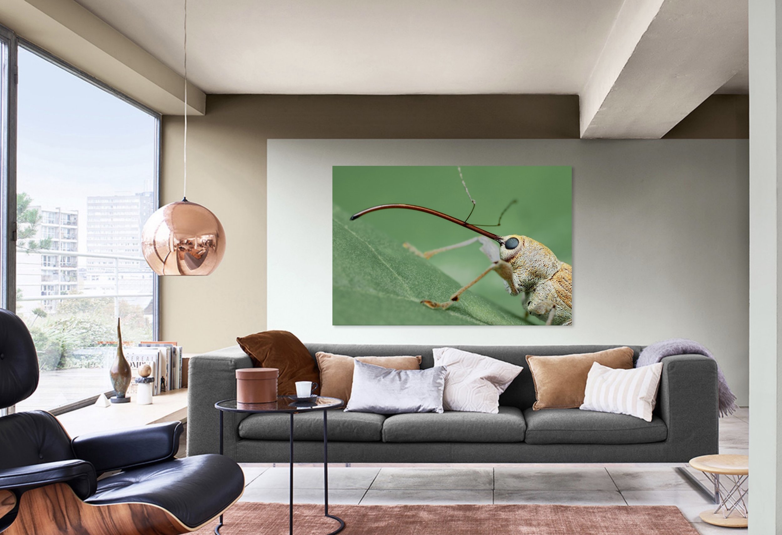 Chestnut Weevil 1.jpg