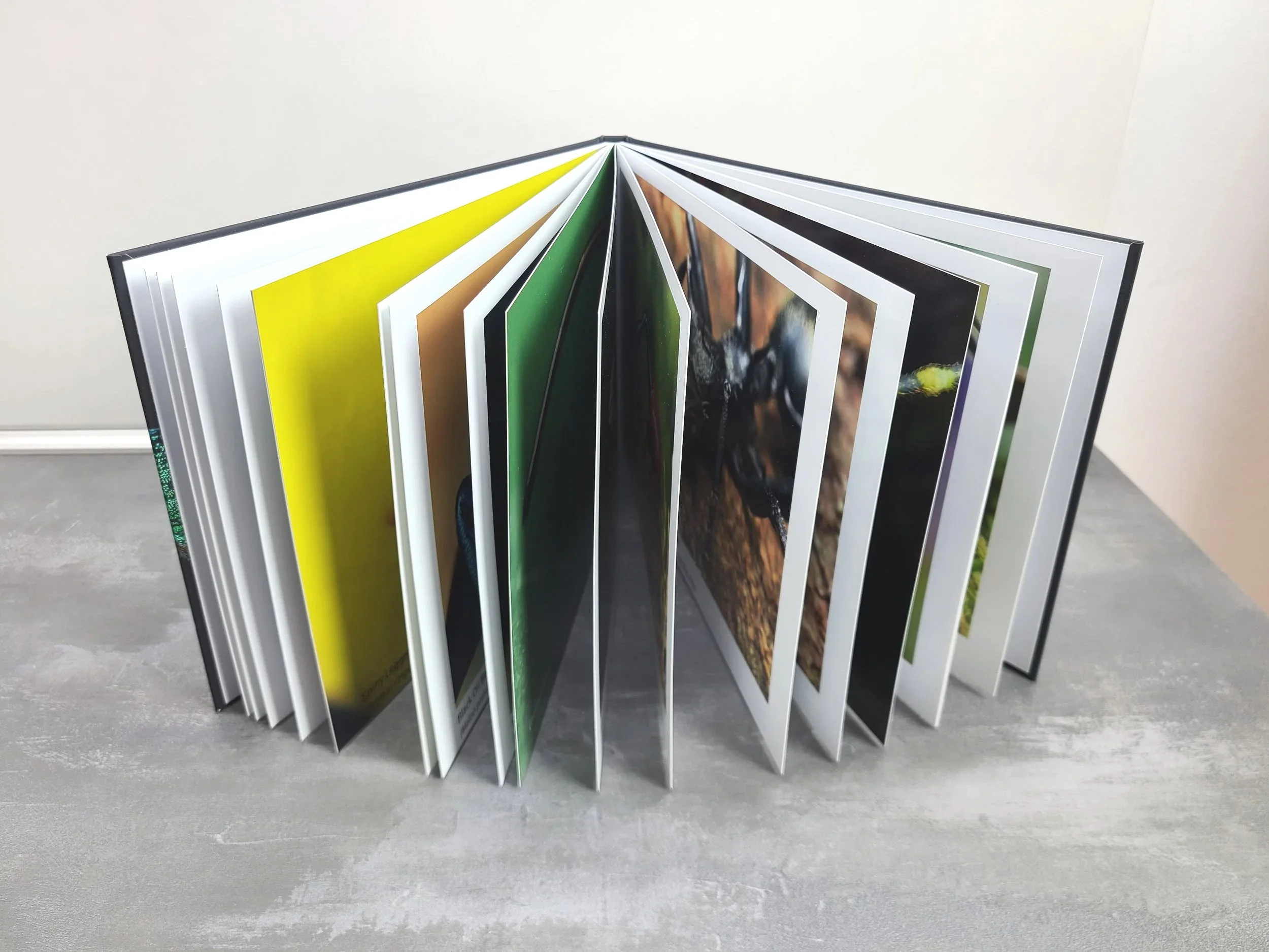 Photobook+-+Open+Pages.jpg