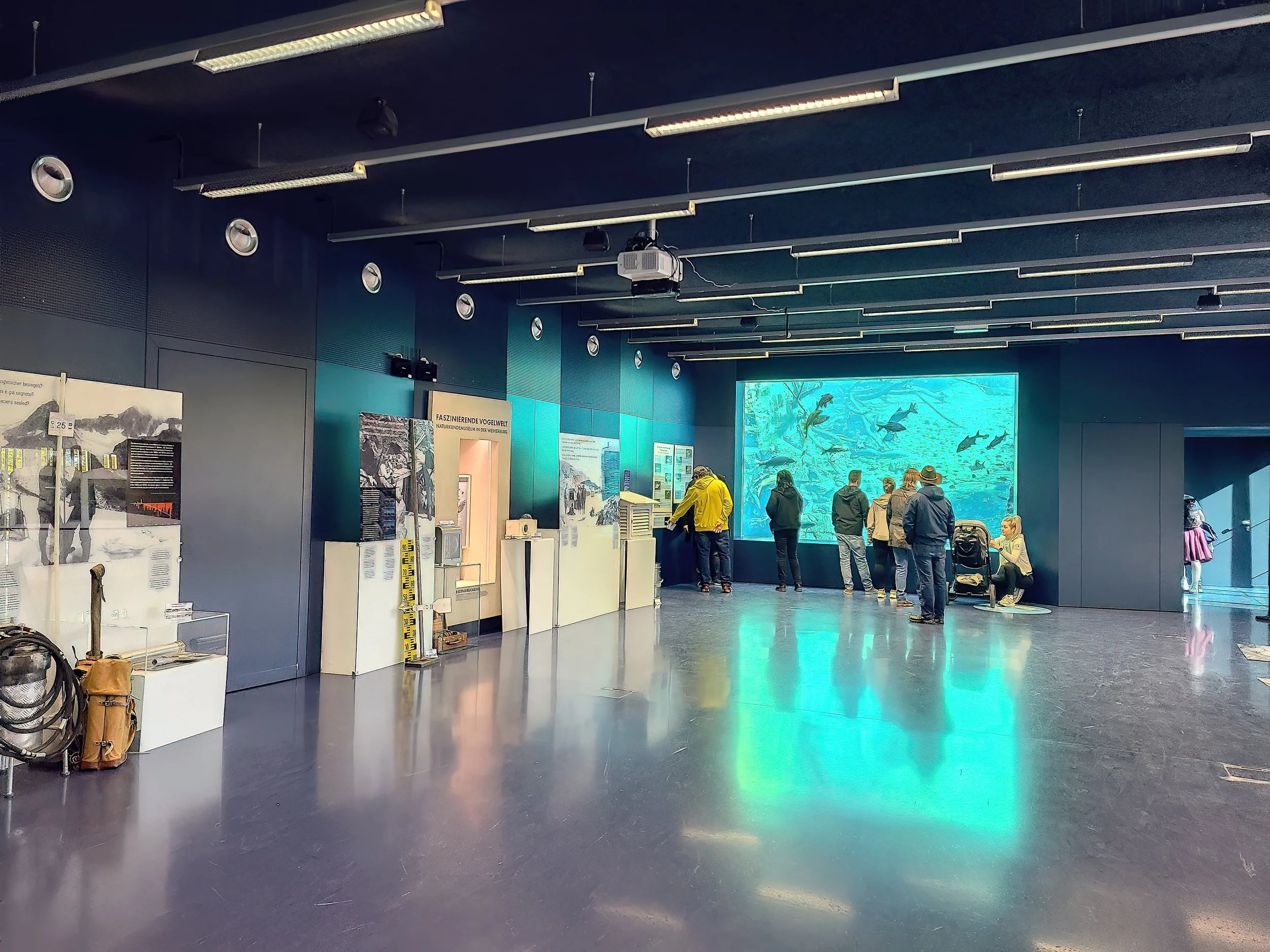 Weitwinkelaufnahme des Ausstellungsraums im Alpenzoo Innsbruck – leer und ruhig, bevor Hidden Wonders als Fine-Art-Galerie installiert wird.