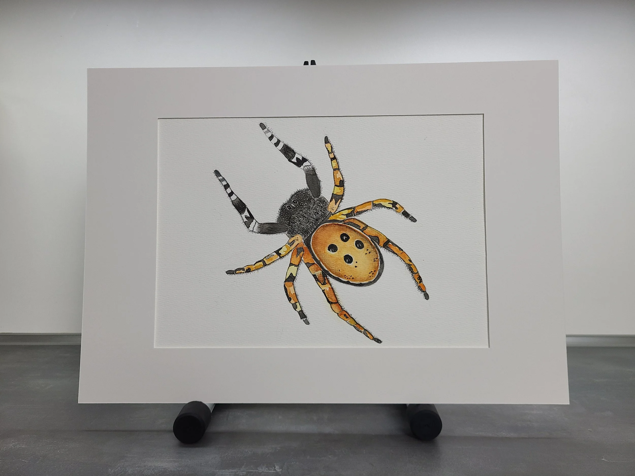 Watercolor - Jumping Spider.jpg