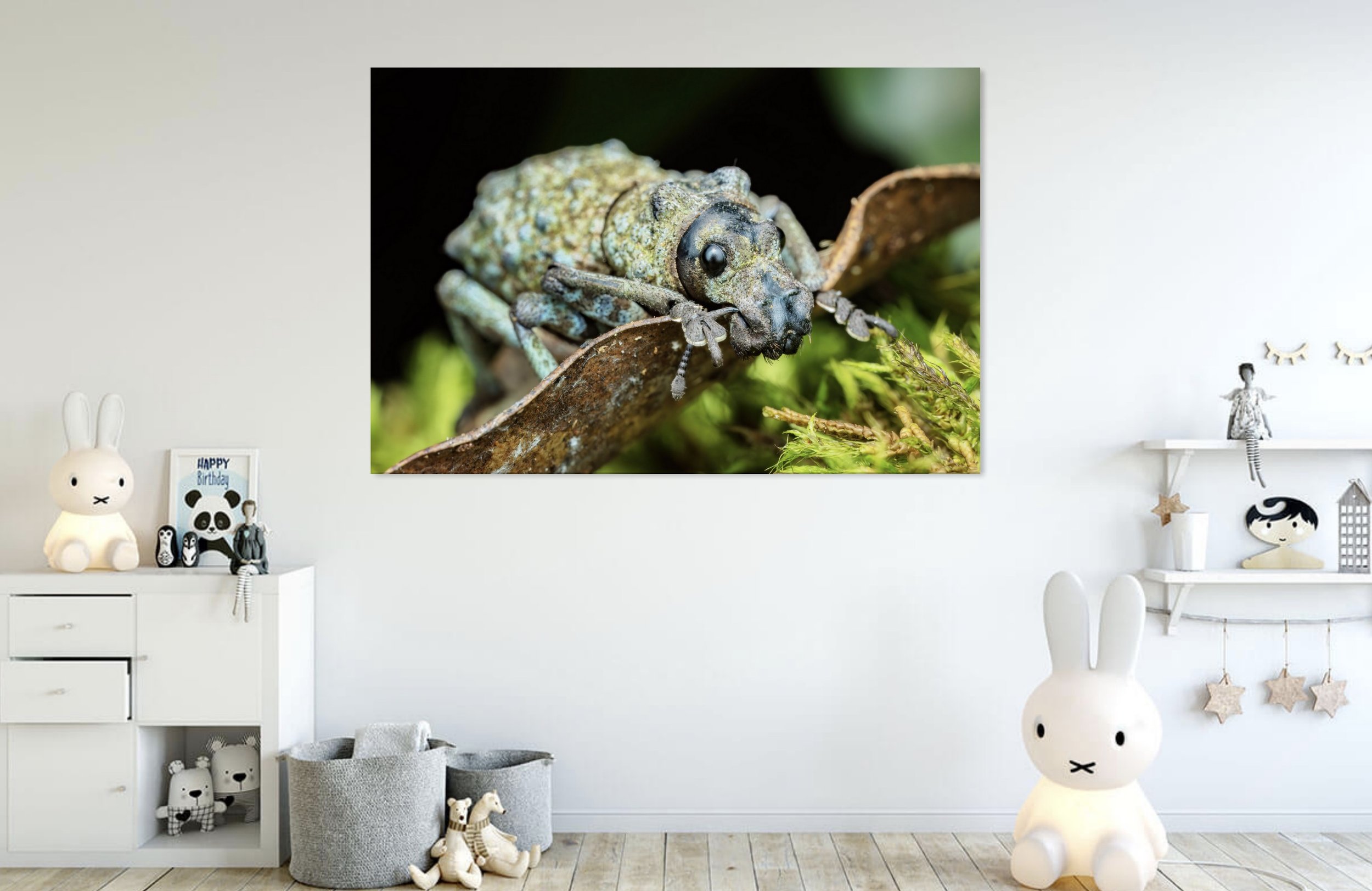 Doggy Weevil 2.jpg