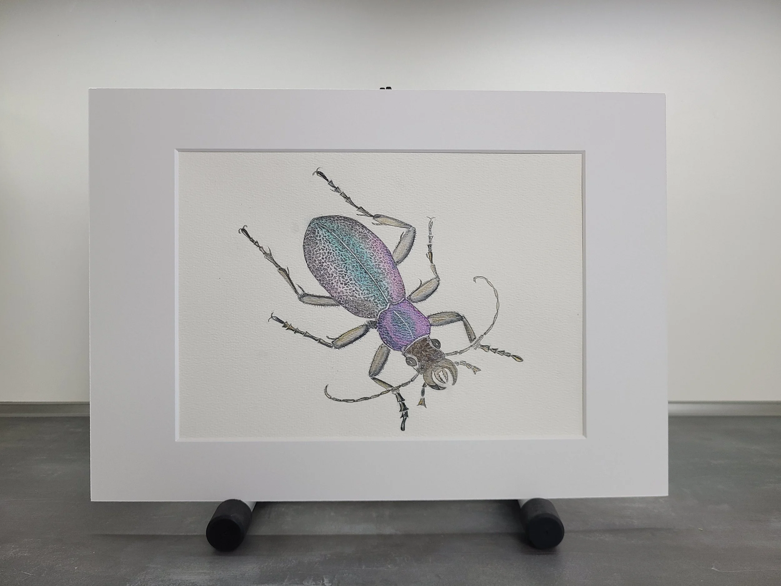 Watercolor - Purple Beetle.jpg