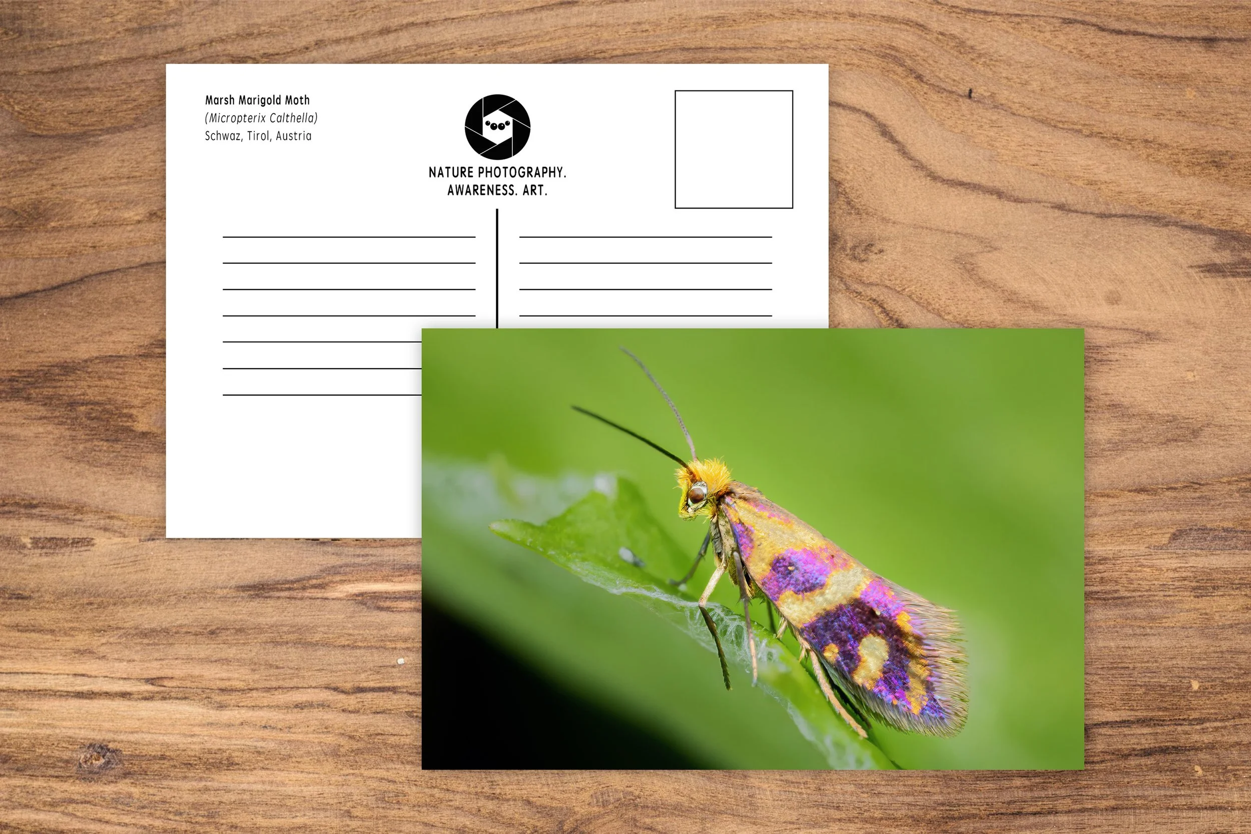 Postcards