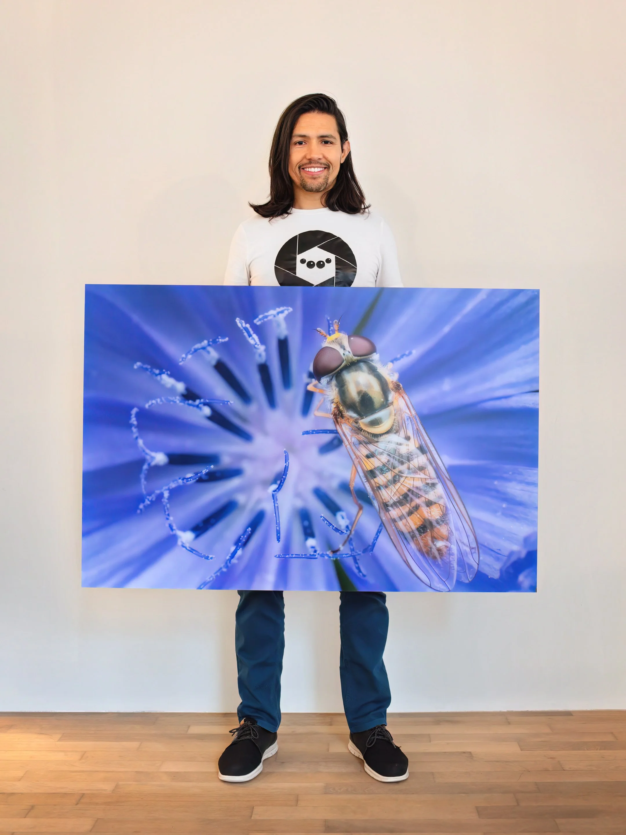 Nicolas Valentin hält einen großen Fine-Art-Druck (105×70 cm) einer Marmeladen-Schwebfliege.